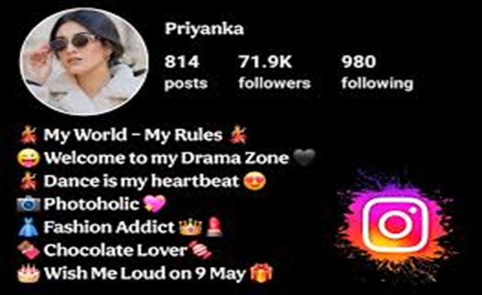 bio for instagram for girl