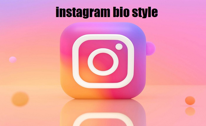 instagram bio style