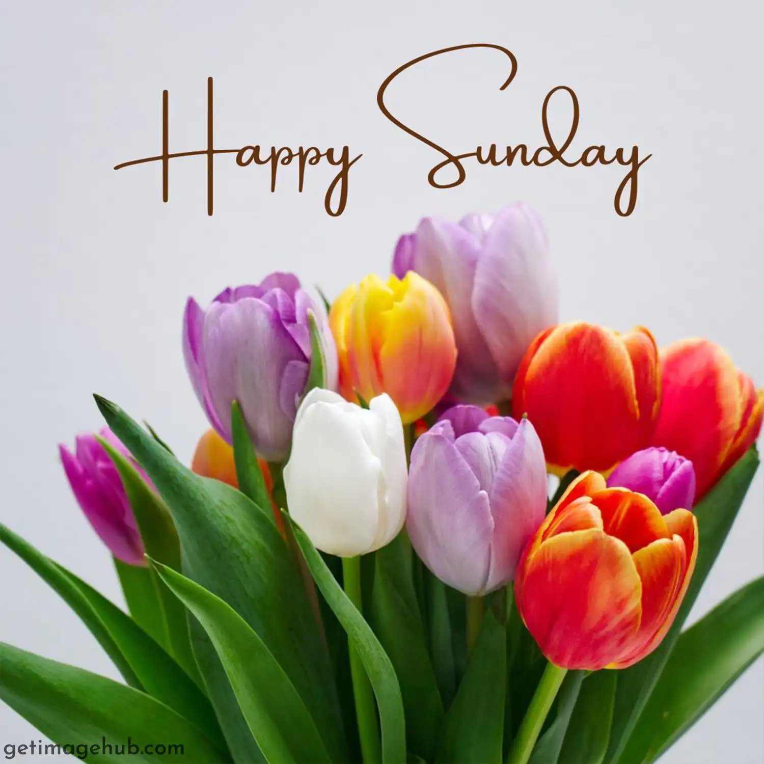 Beautiful Happy Sunday Pic