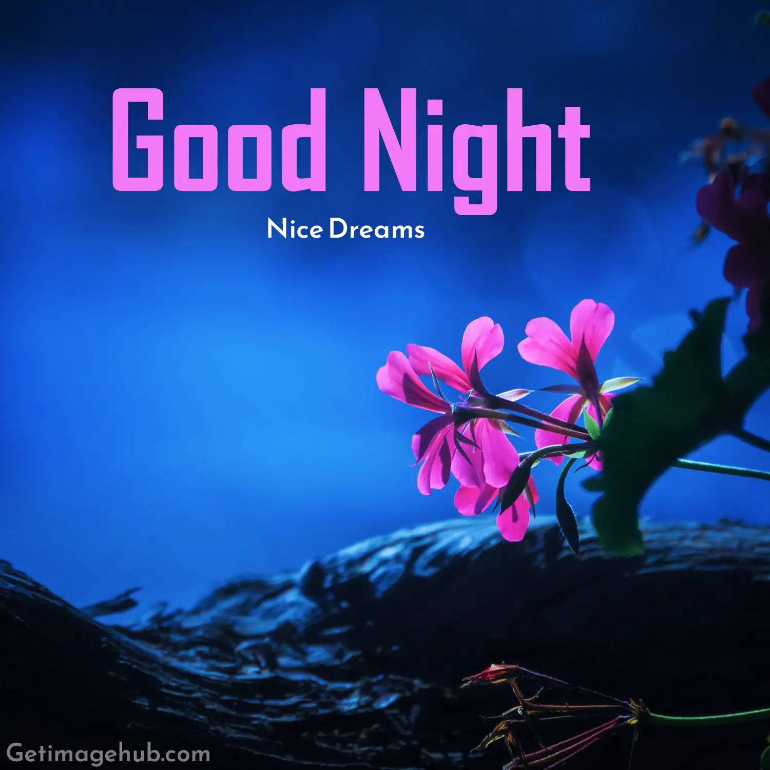 Best Good Night Flower Images