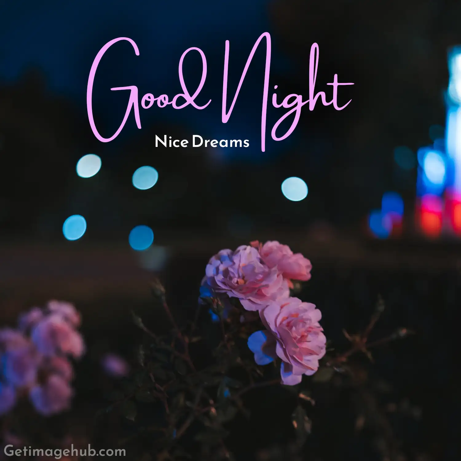 Best Good Night Flower