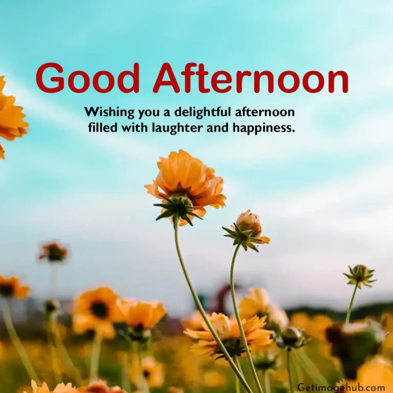 Good Afternoon Image HD
