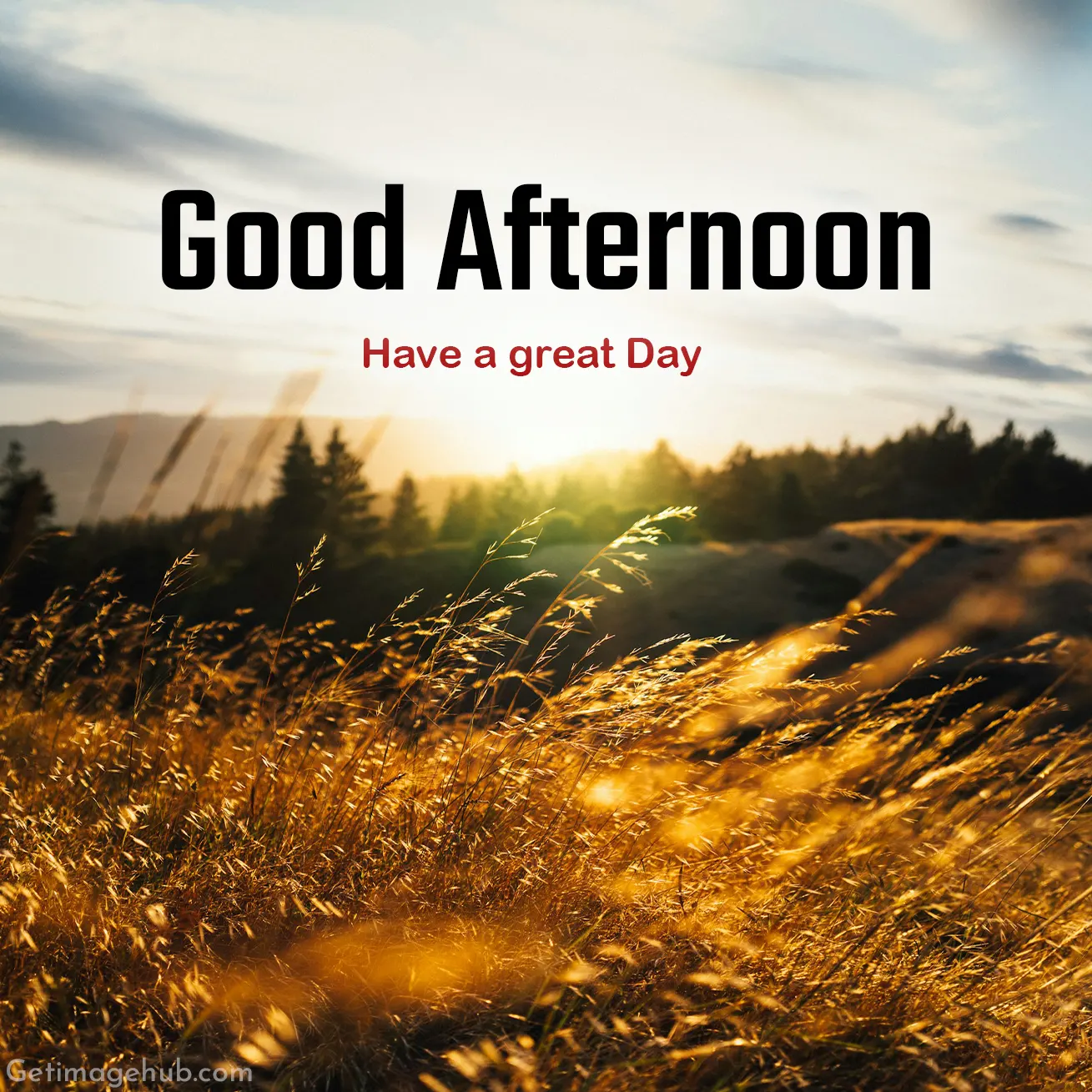 Good Afternoon Photo