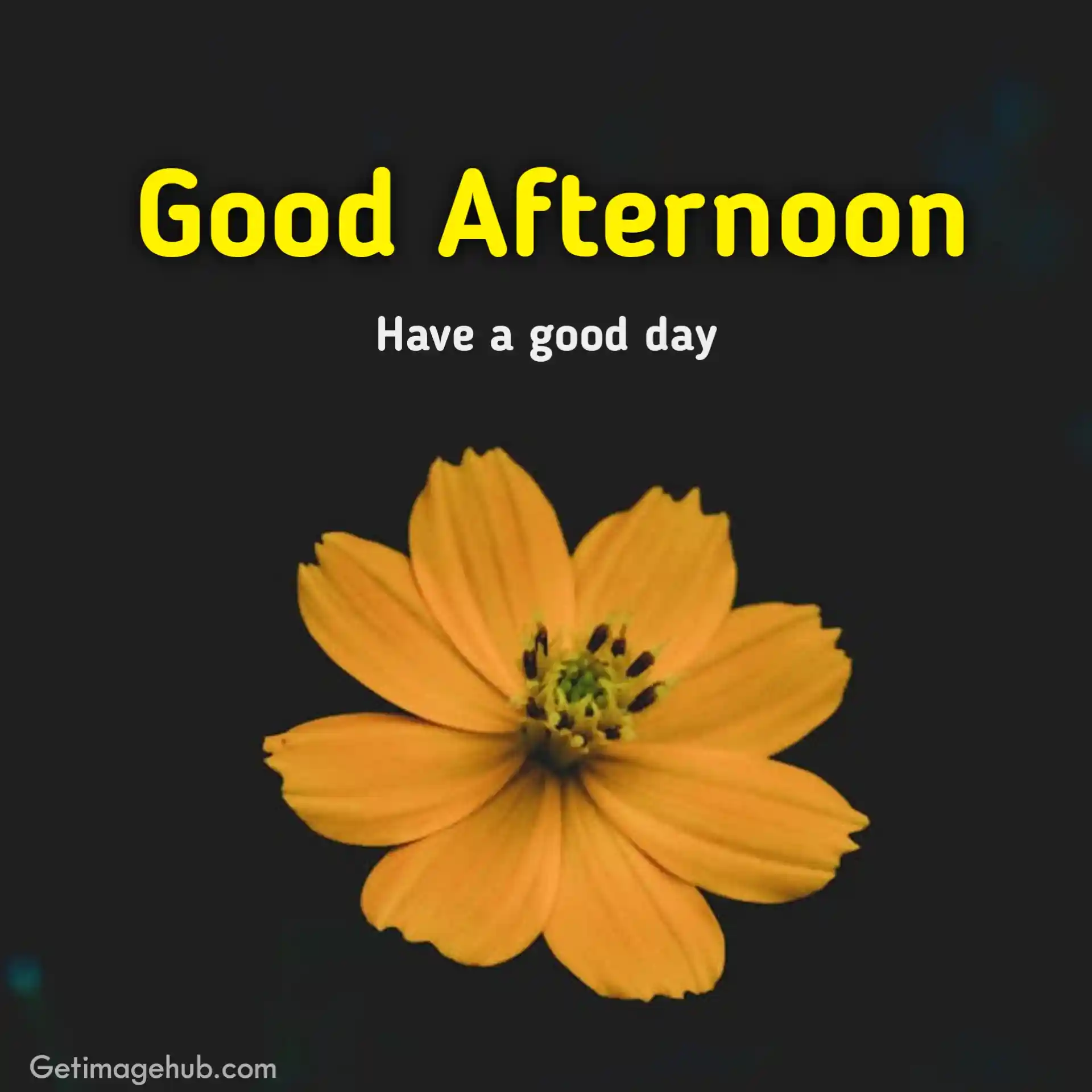 Good Afternoon Photos