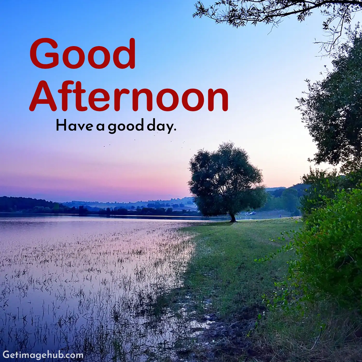 Good Afternoon Picture