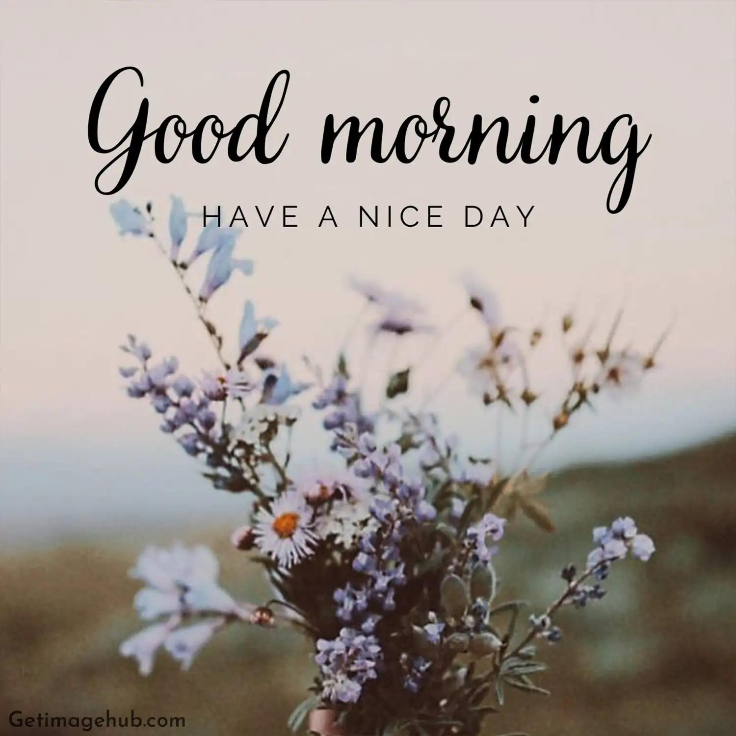 Good Morning HD Images