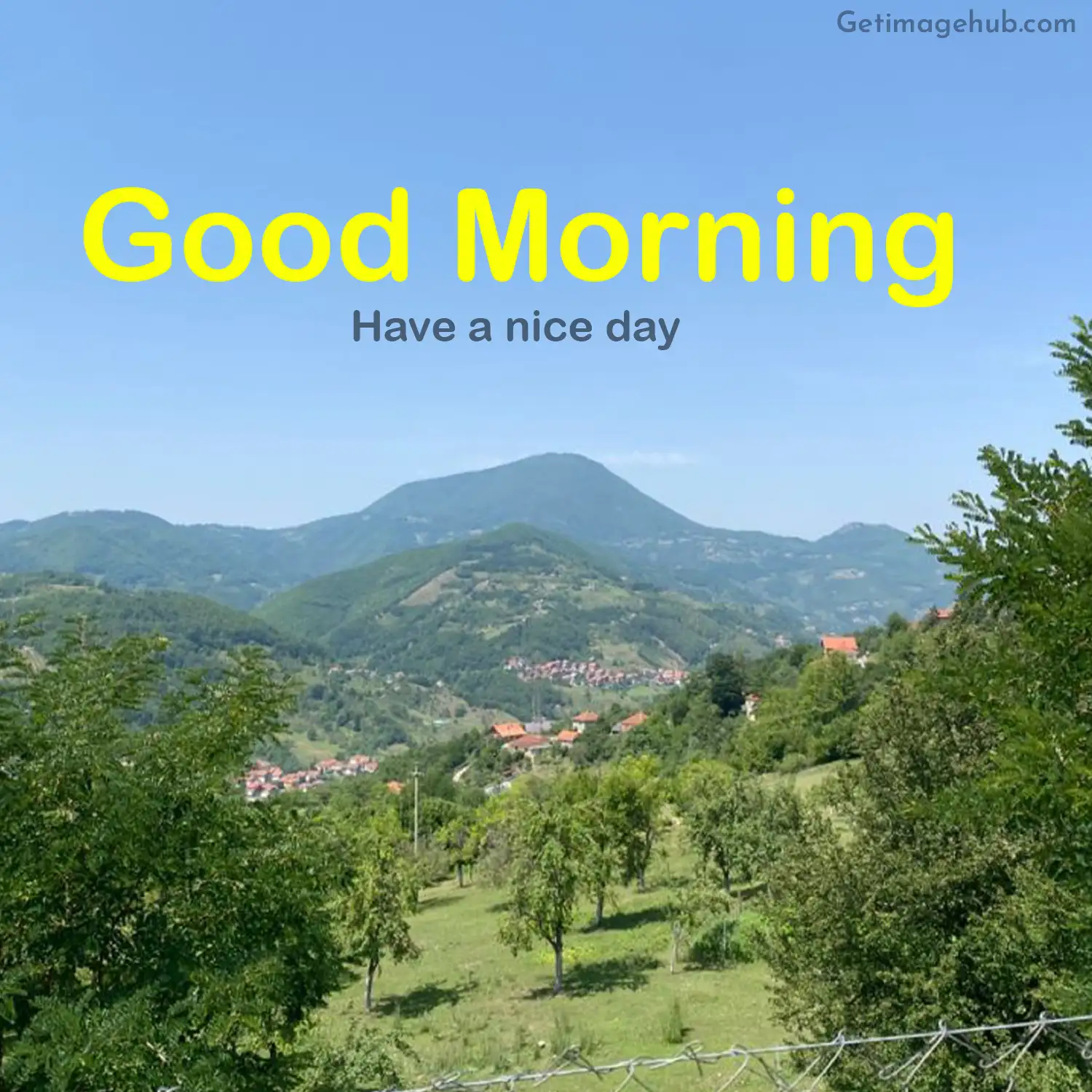 Good Morning HD Pic in Village