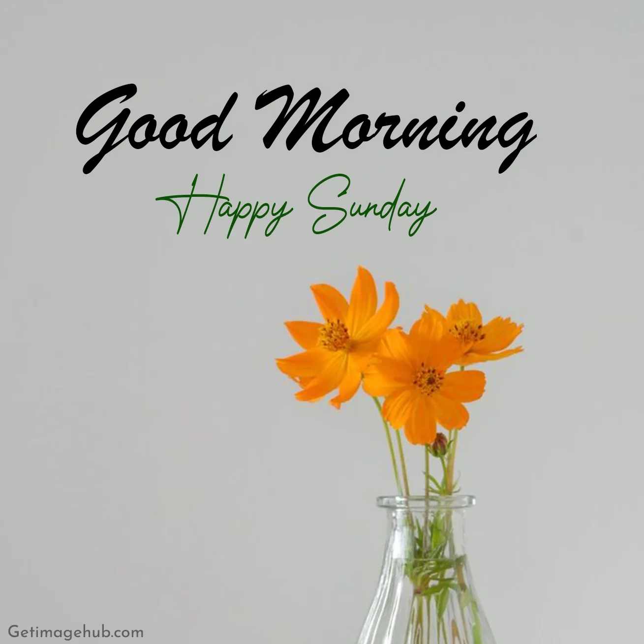 Good Morning Happy Sunday Pic