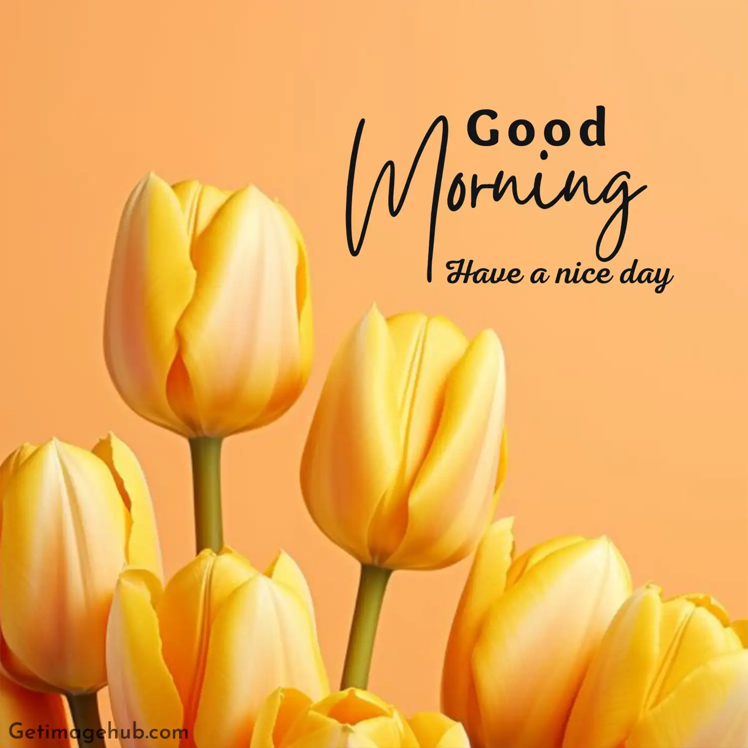 Good Morning Images Flowers