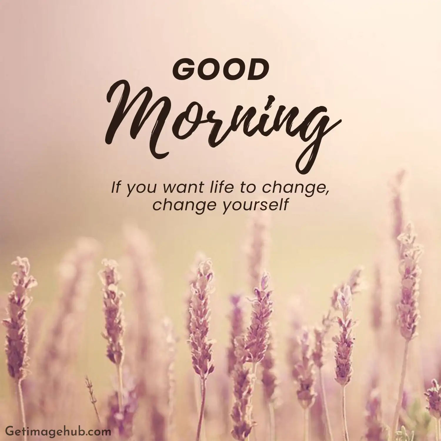 Good Morning Images Pic HD