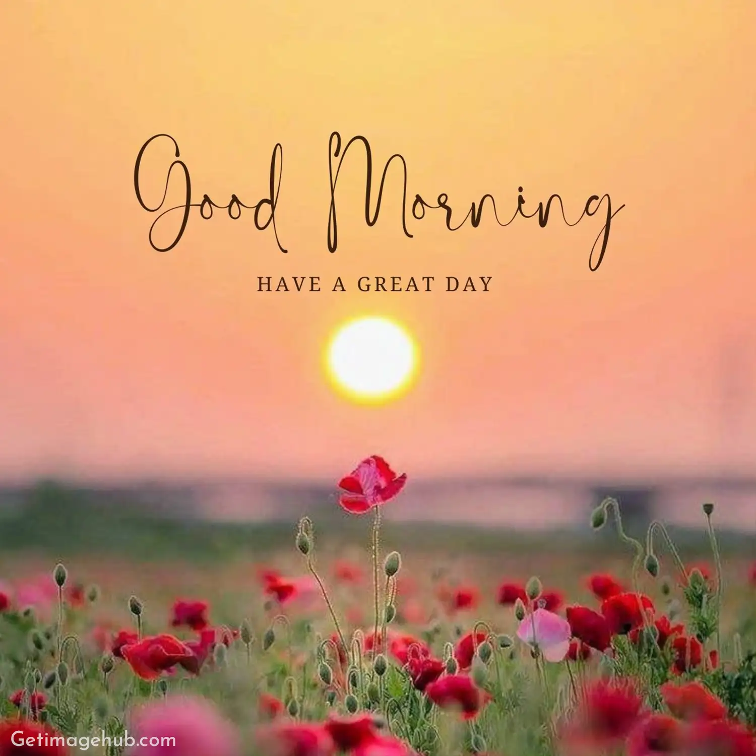 Good Morning Images Positive