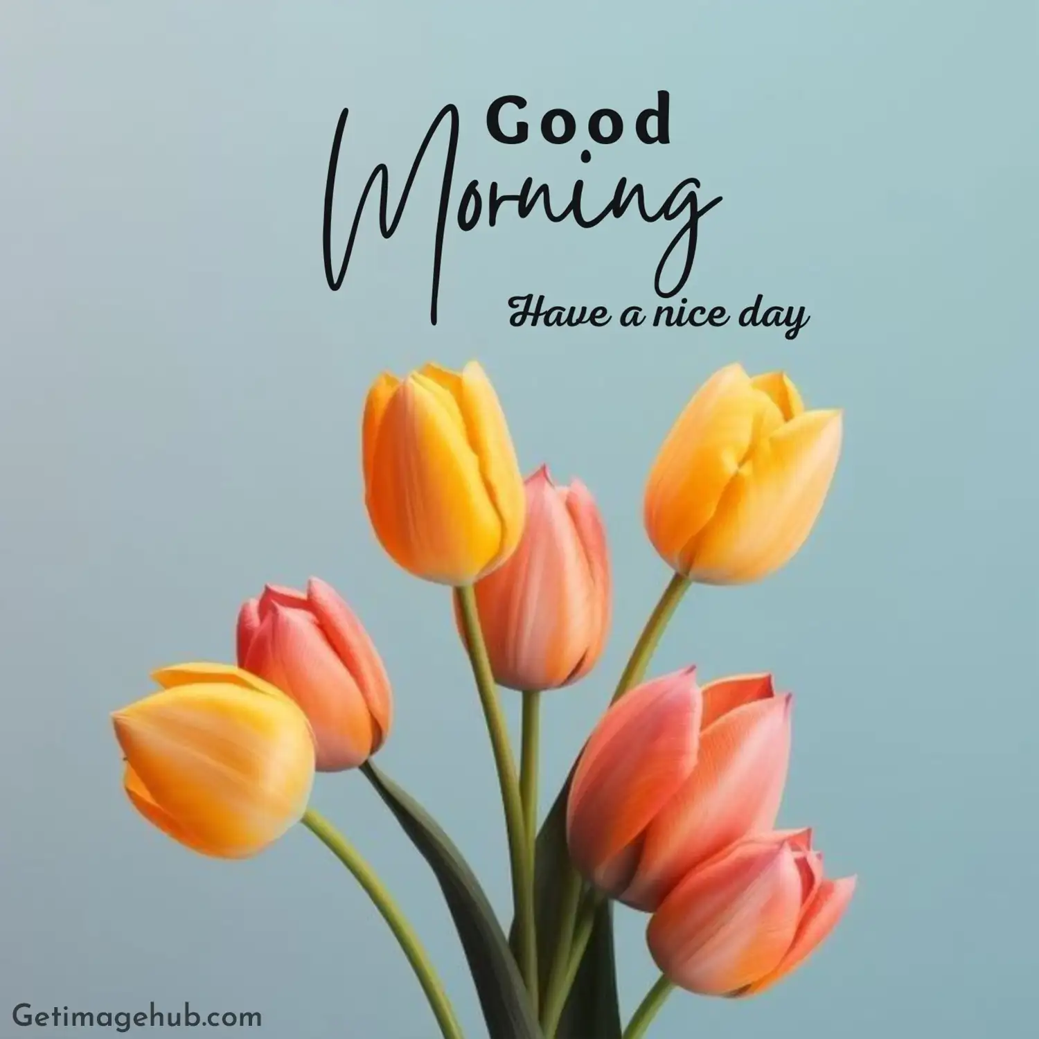 Good Morning Images with Flowers