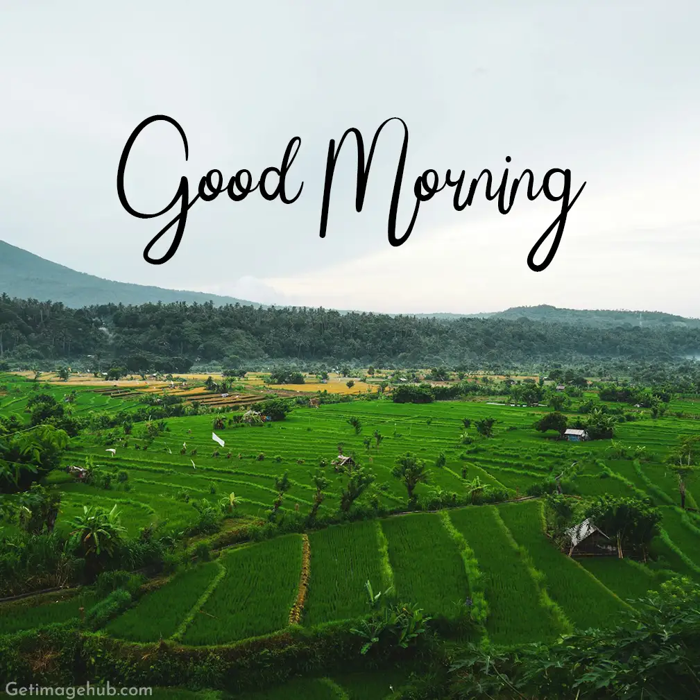Good Morning Images with Village