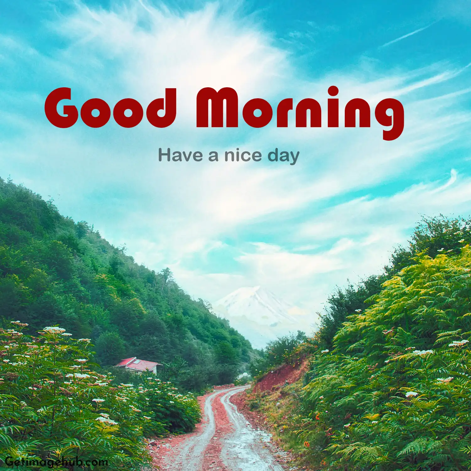 Good Morning Nature Image
