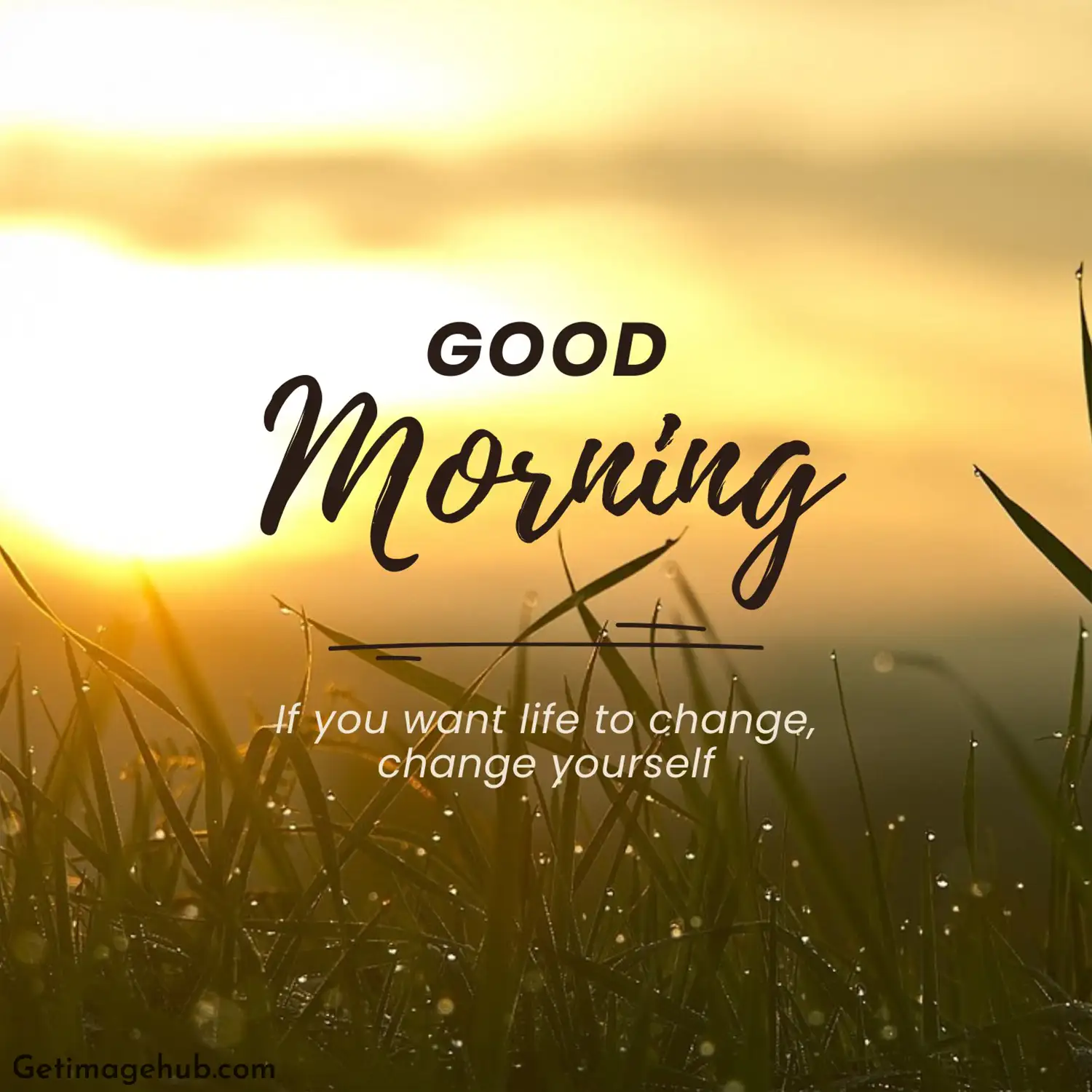 Good Morning New Images