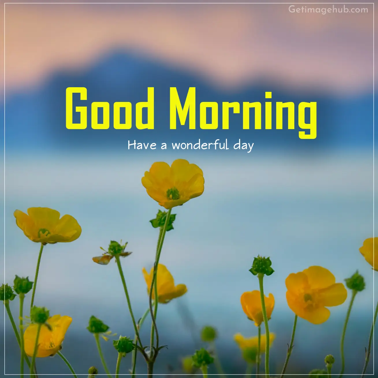 Good Morning Photos HD for Free