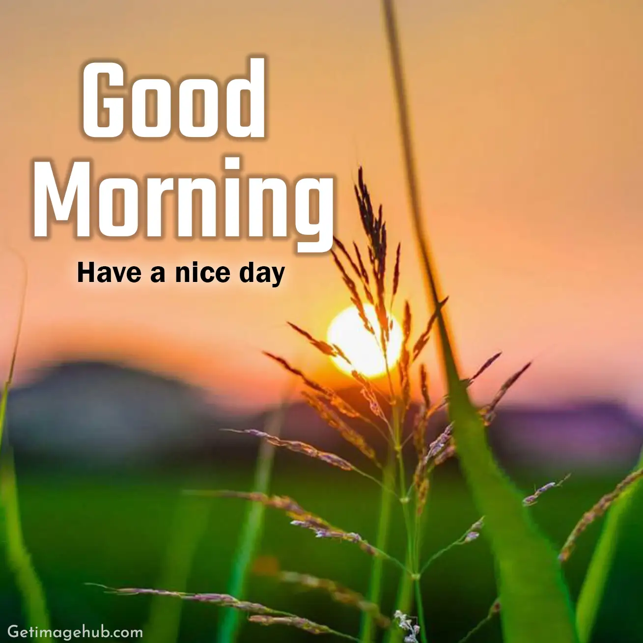 Good Morning Pic HD