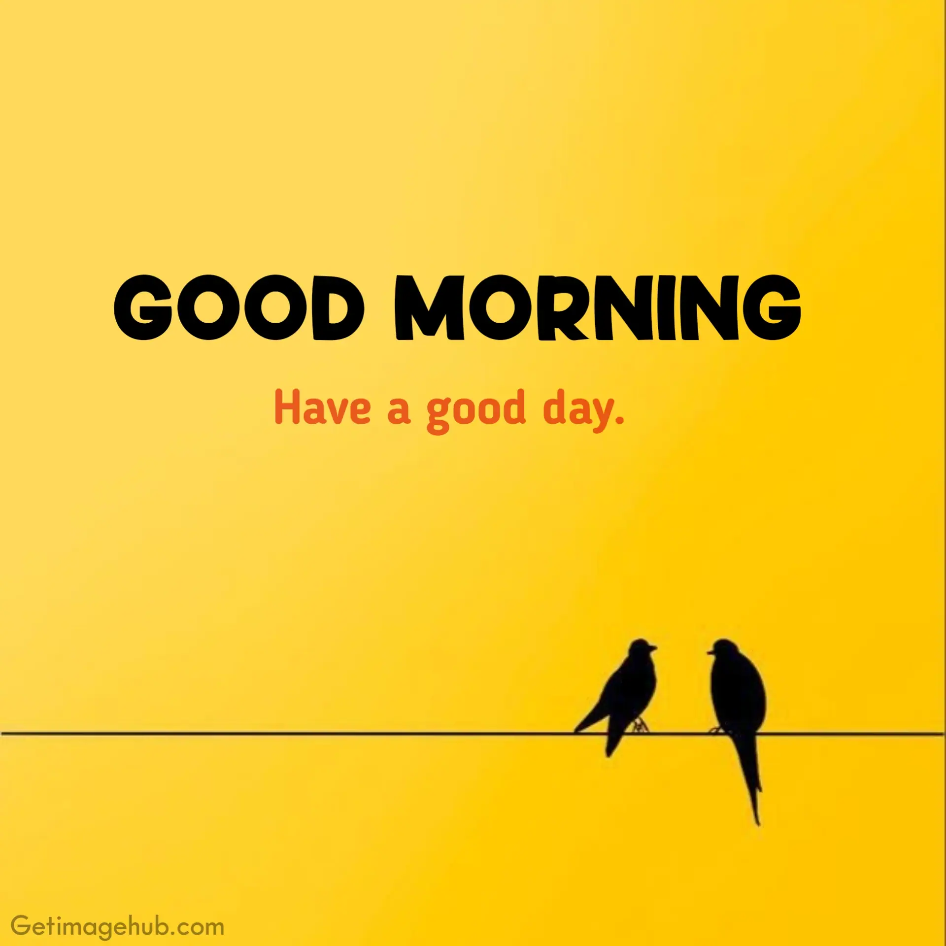 Good Morning Pic with Two Birds