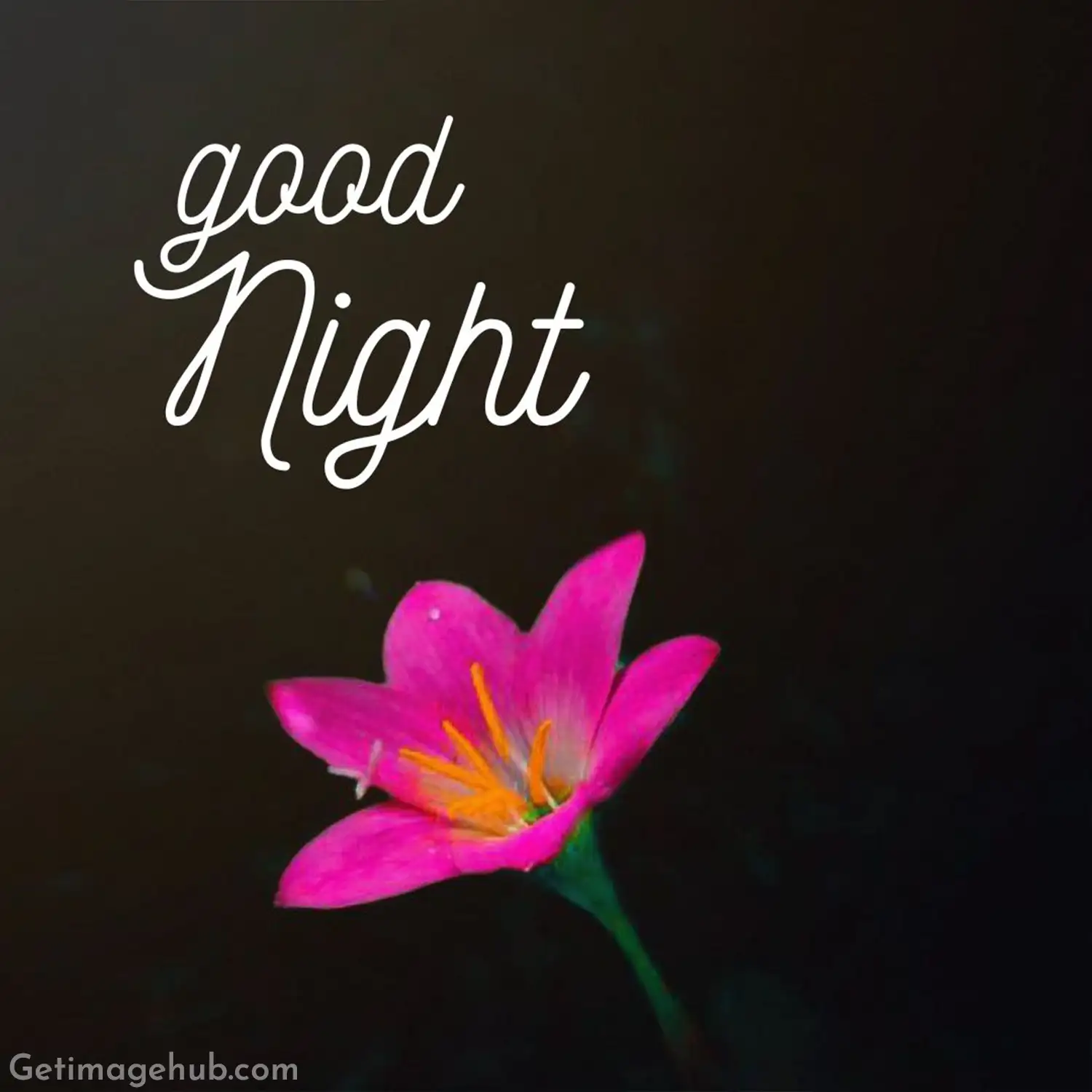 Good Night Images