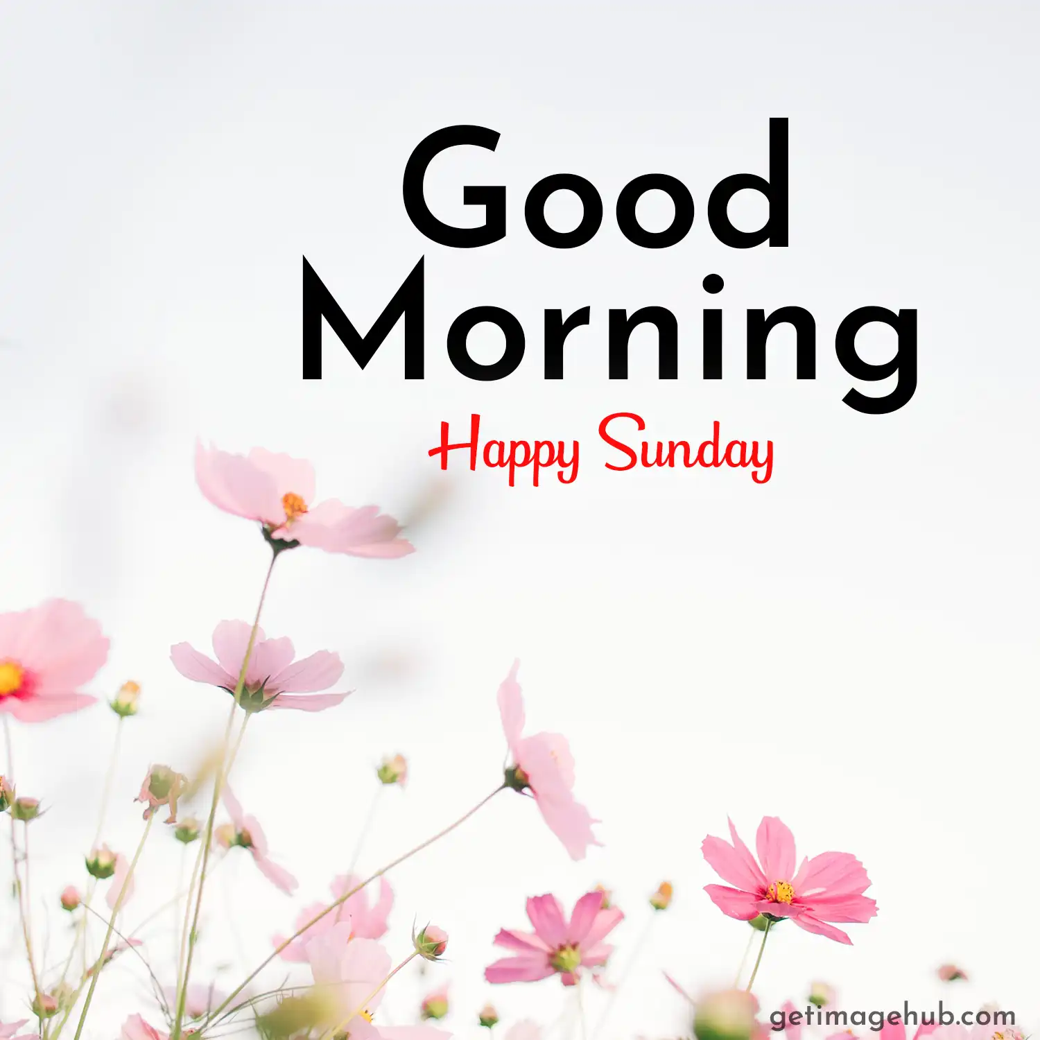 Good Morning Sunday Photo