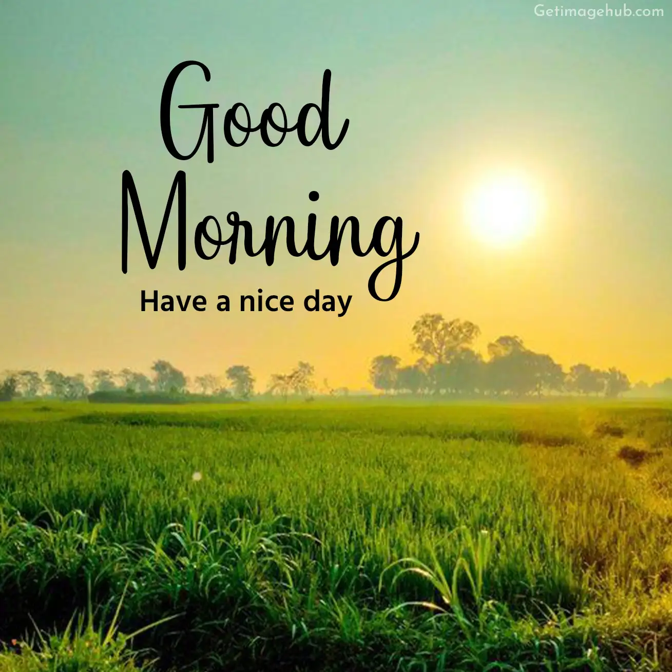 Good Morning Village Images