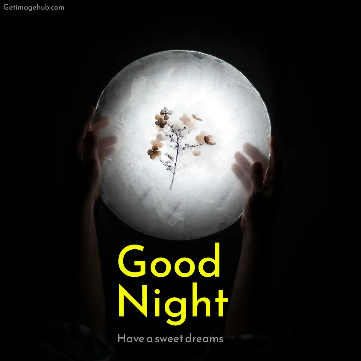 Good Night Flower Images