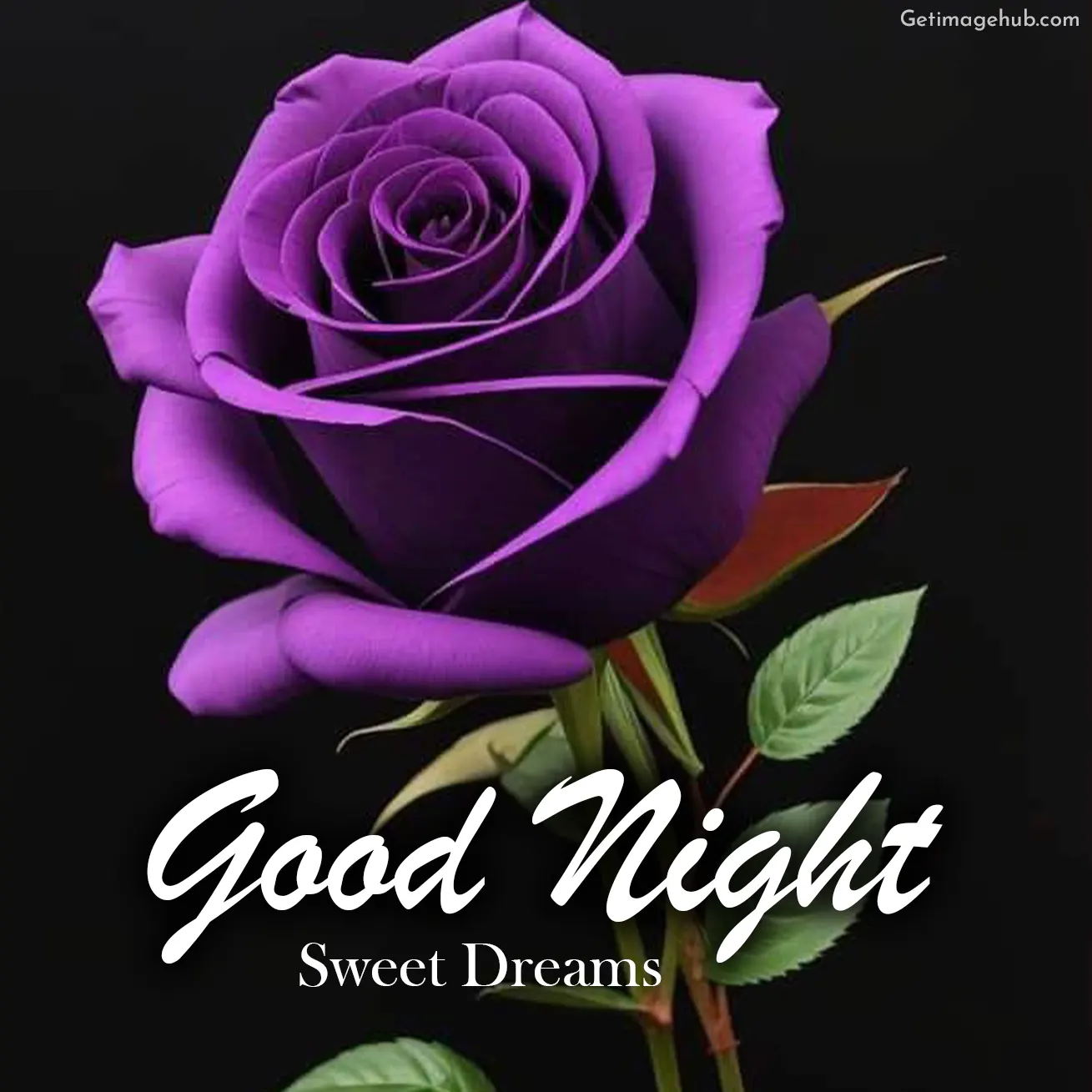 Good Night Flower