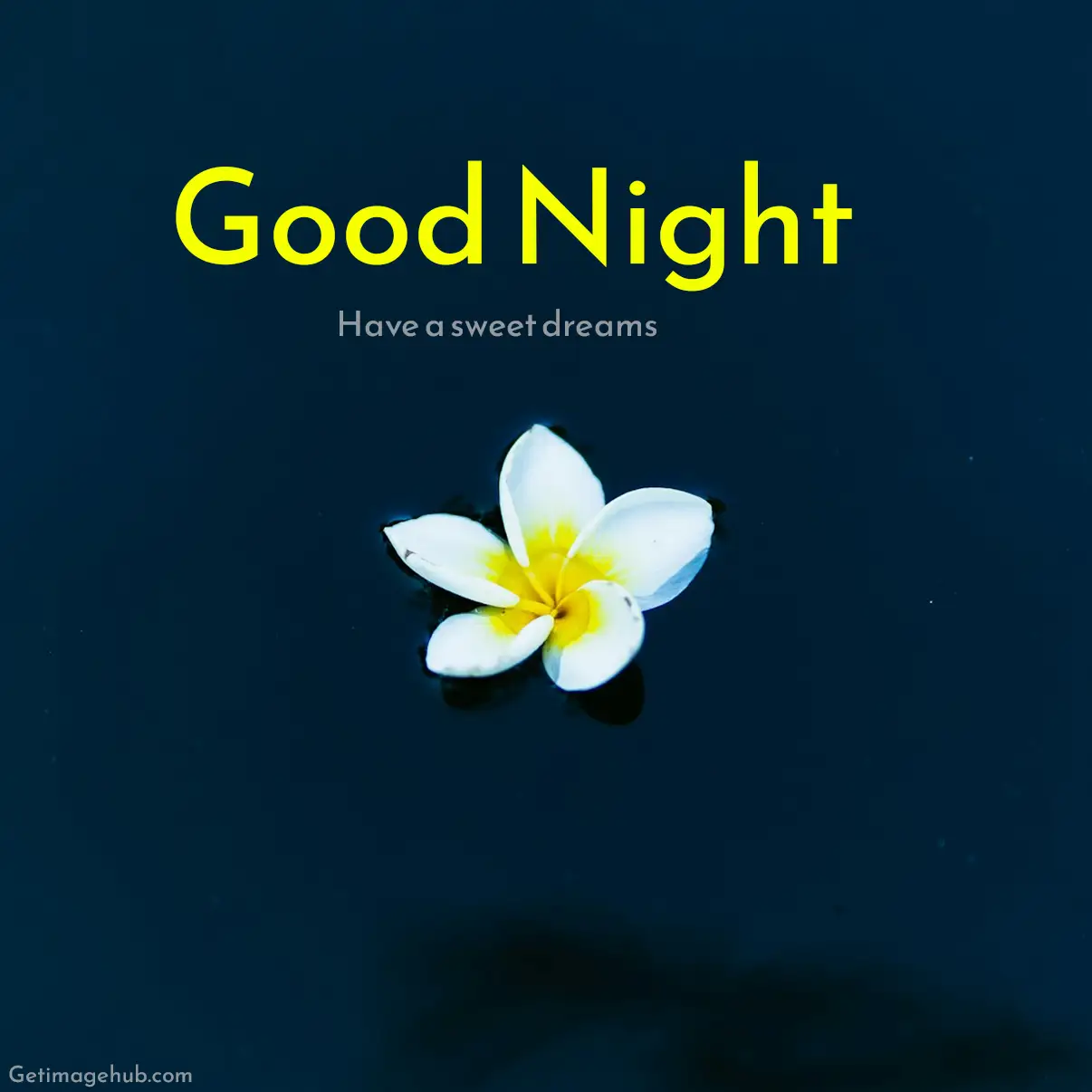 Good Night Flowers Images
