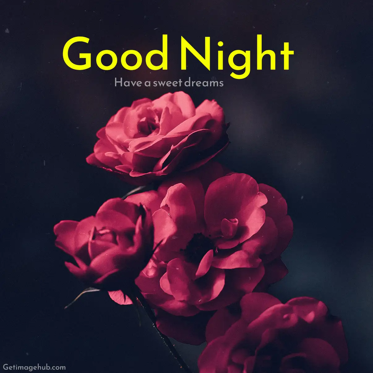 Good Night HD Flowers Images