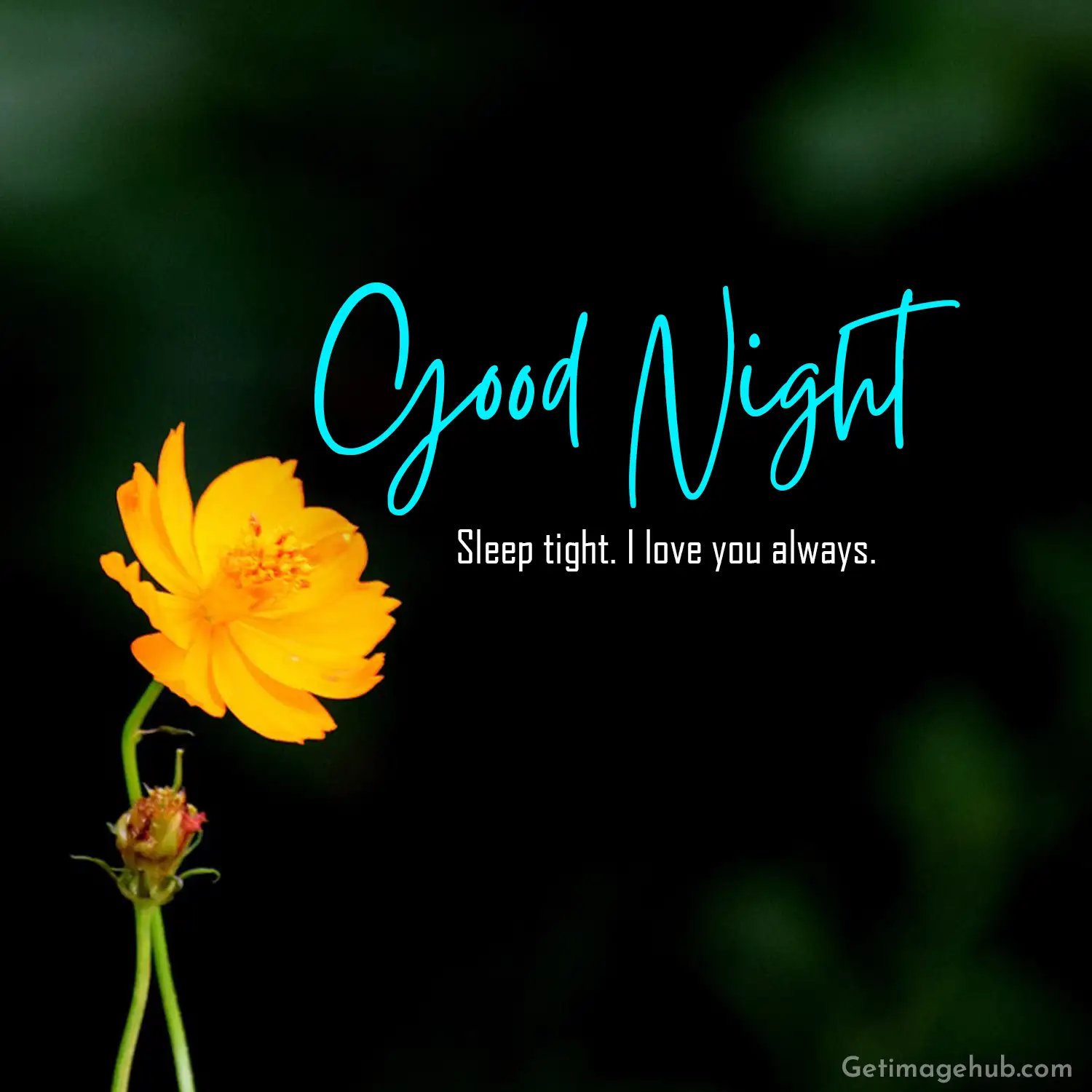 Good Night Image Nice Dreams