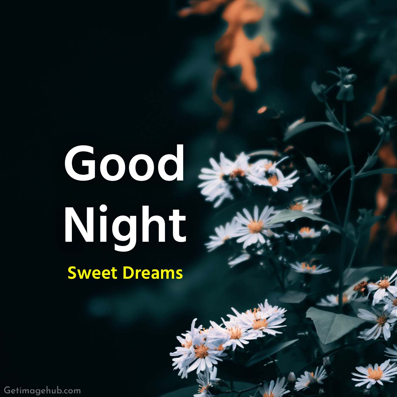 Good Night Image with Flowers