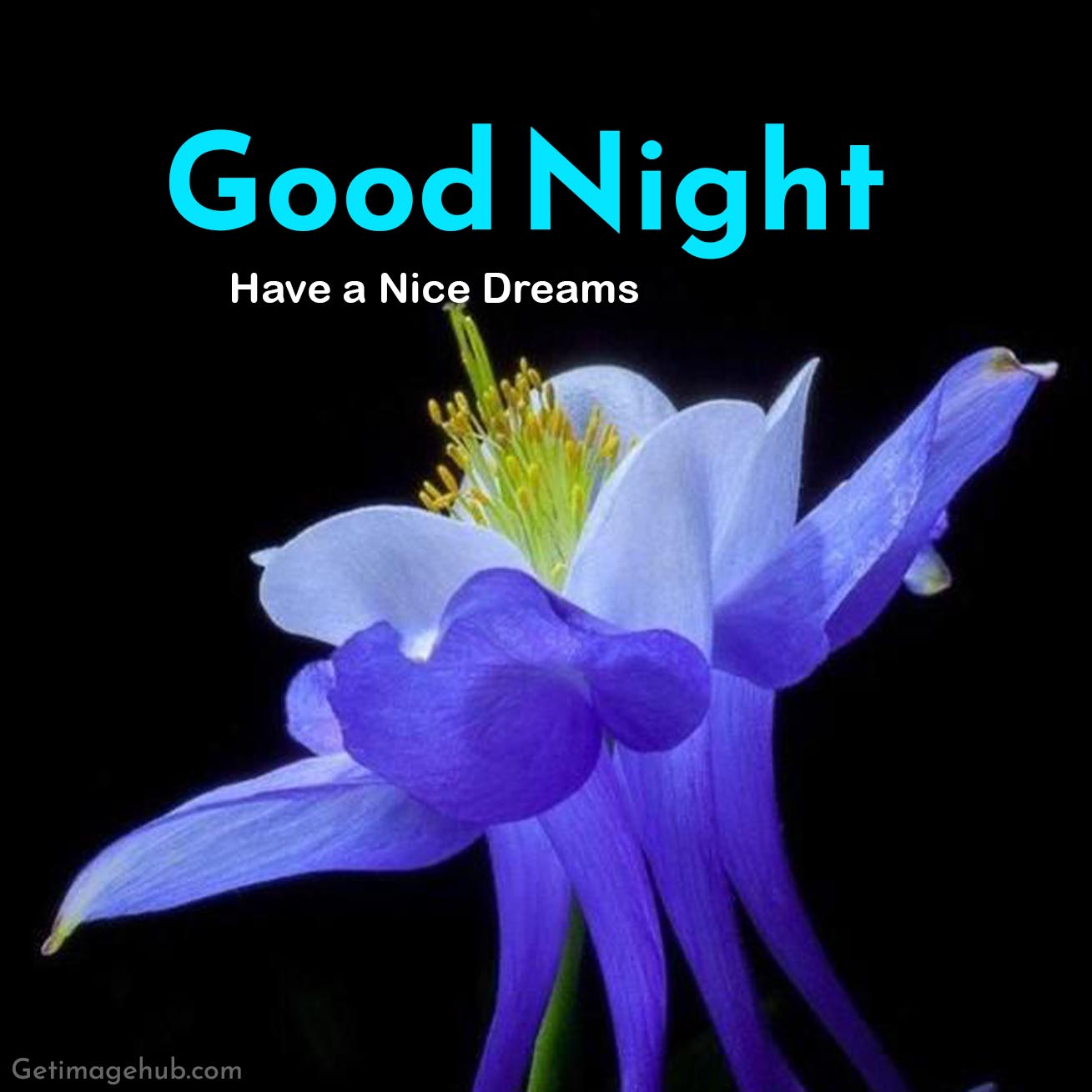 Good Night Images HD