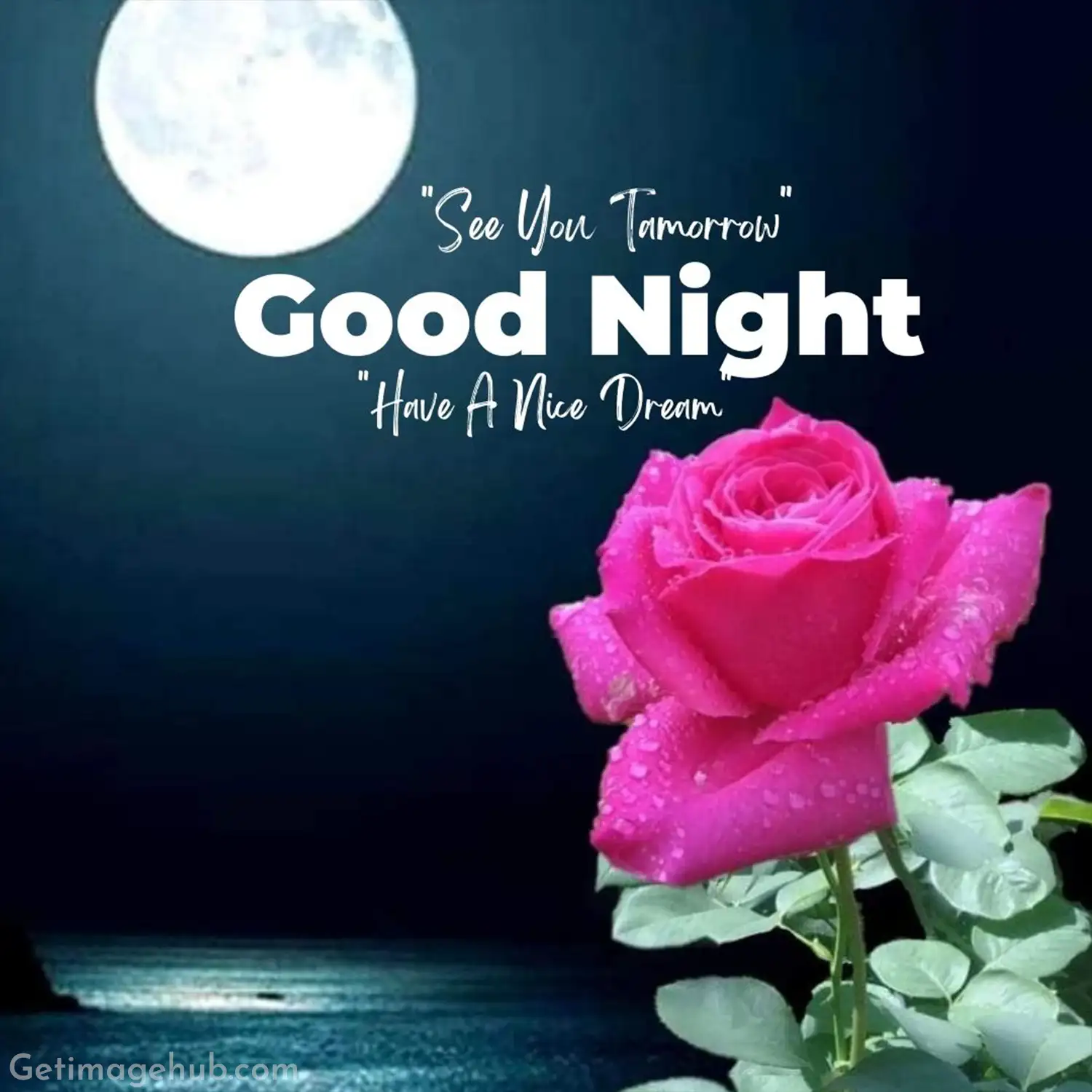 Good Night Pic with Flower