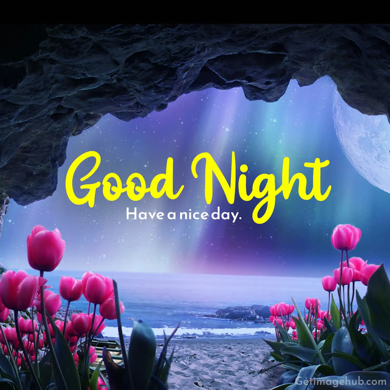 Good Night with Beautiful Flower