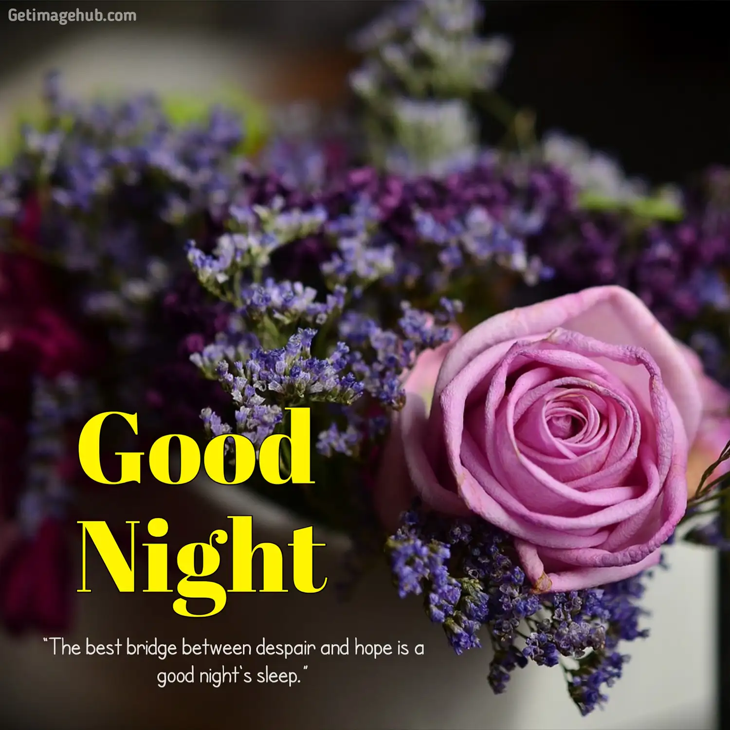 Good Night with Flower