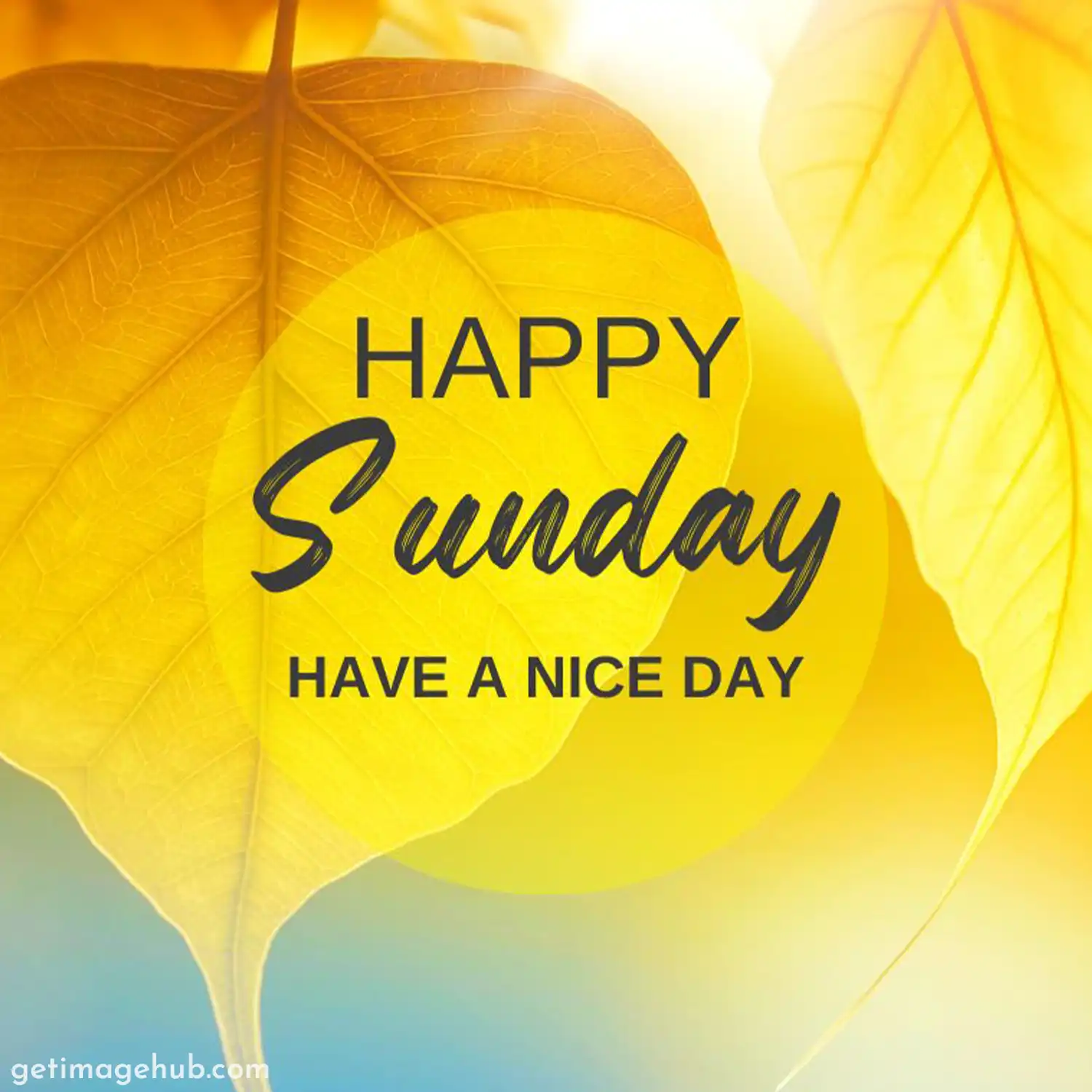 Happy Sunday Beautiful