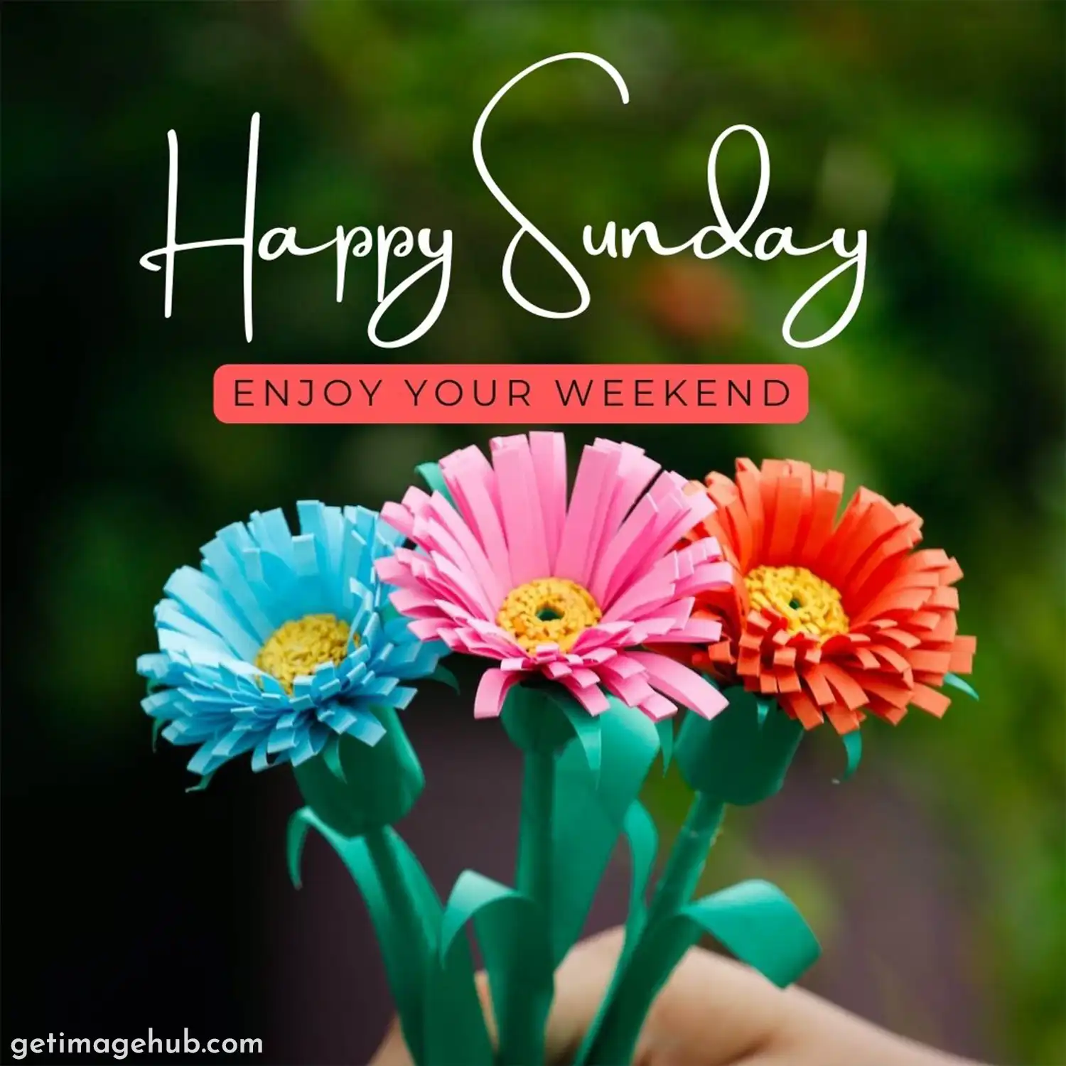 Happy Sunday Flower Image
