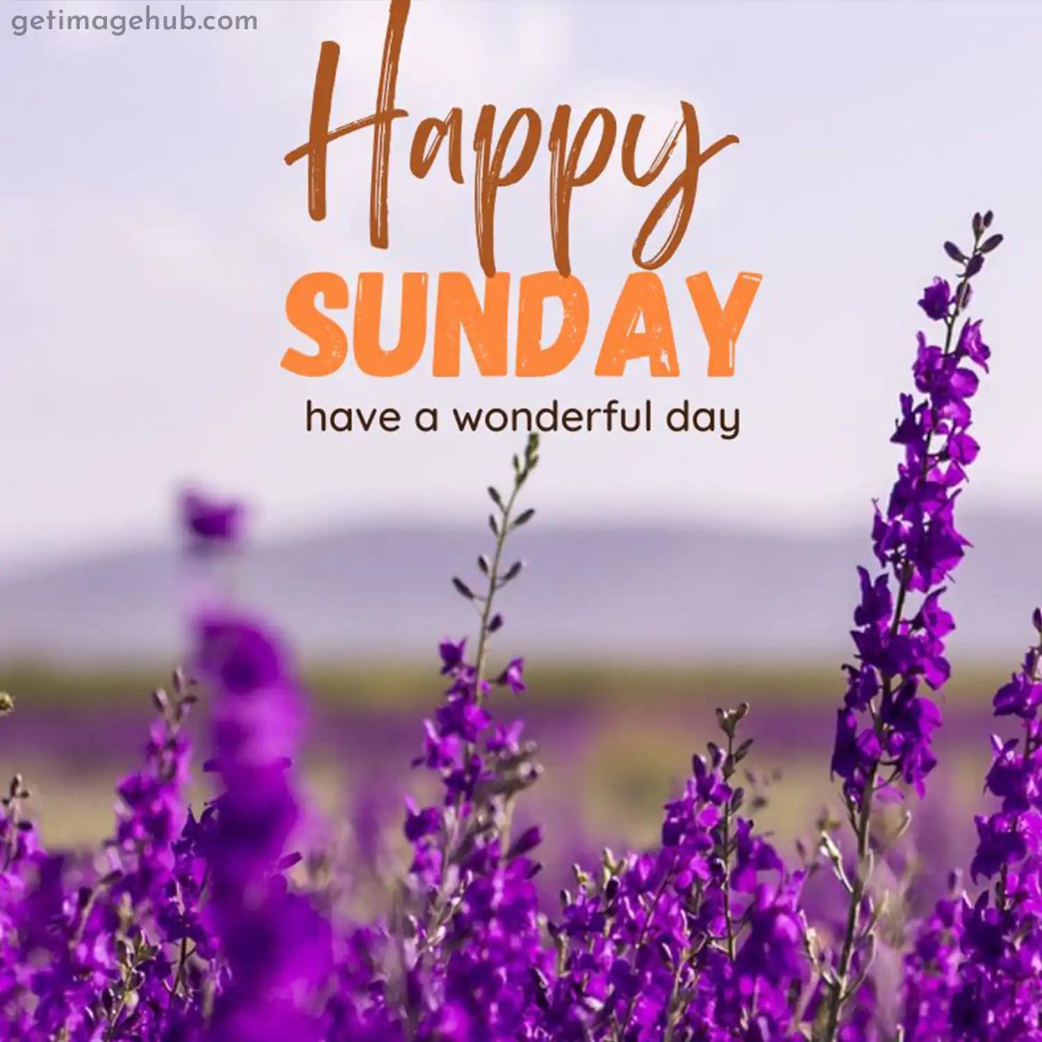 Happy Sunday Good Morning Photo
