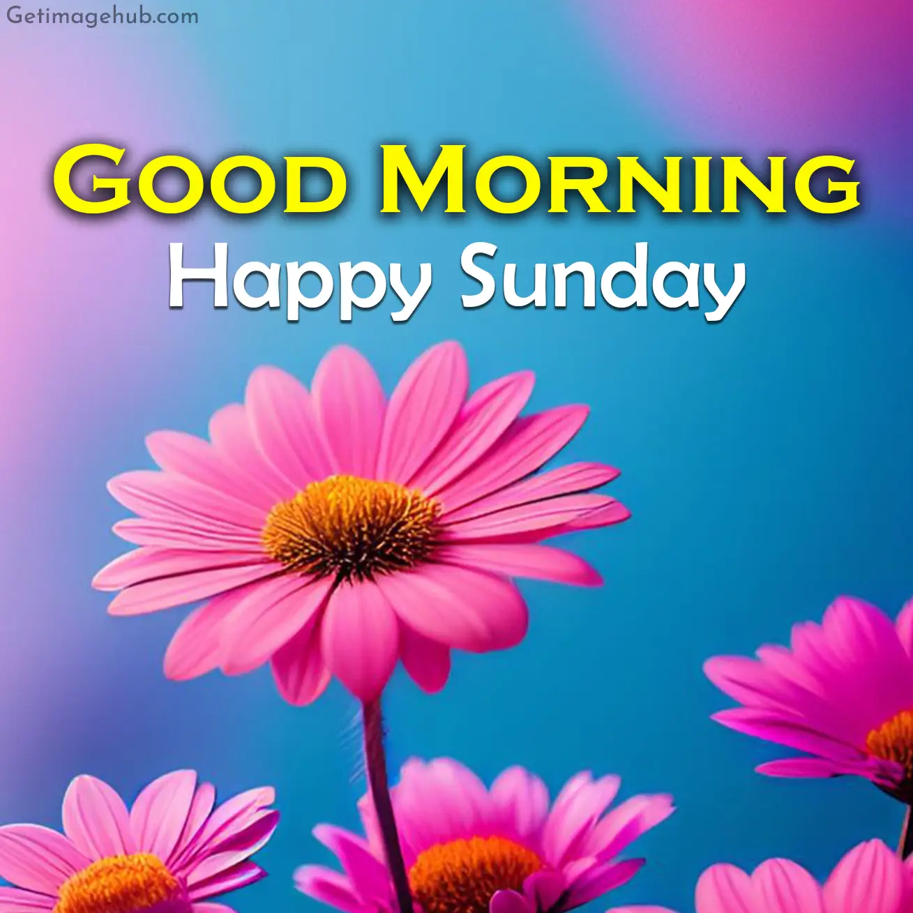 Happy Sunday Good Morning Photos