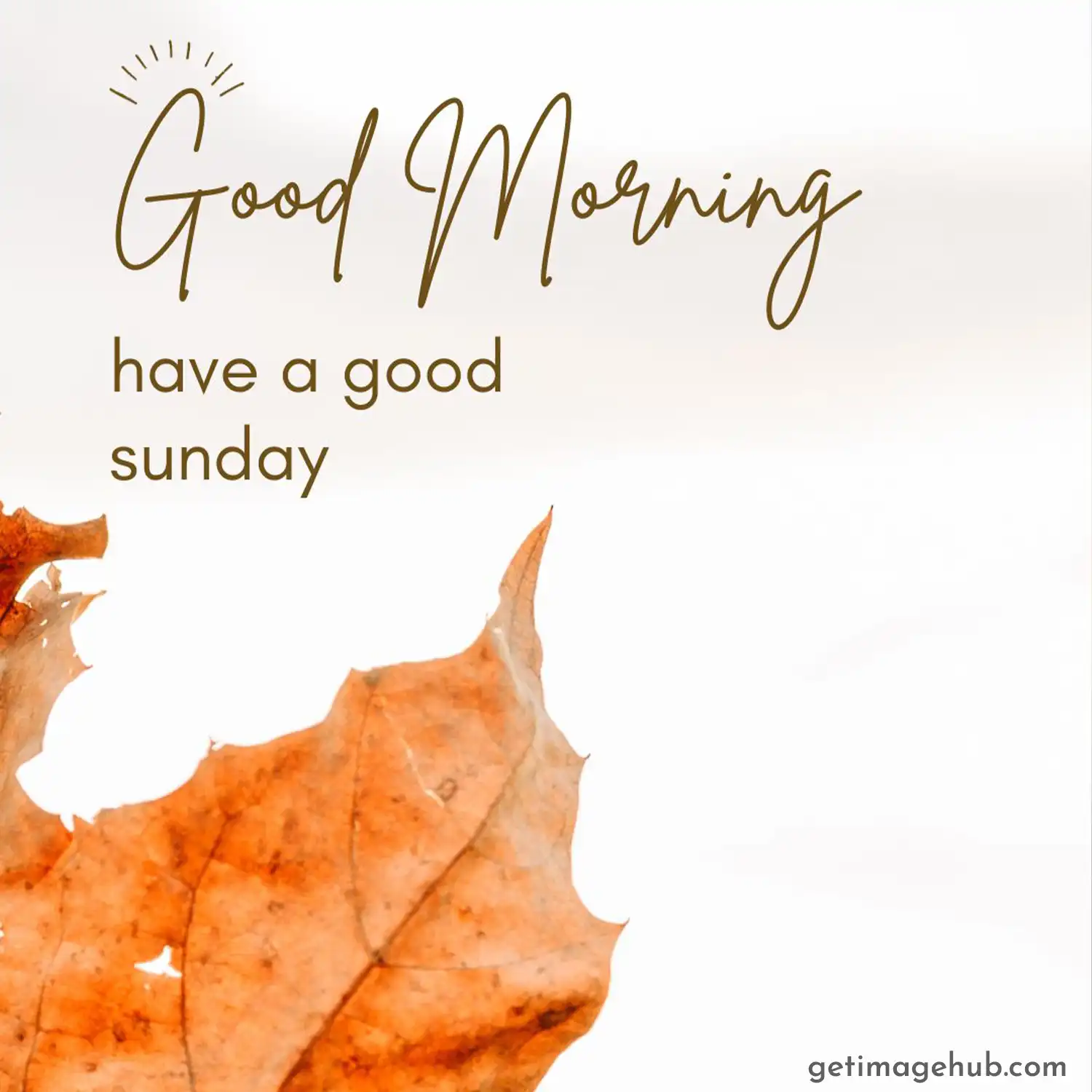 Happy Sunday Good Morning Picture