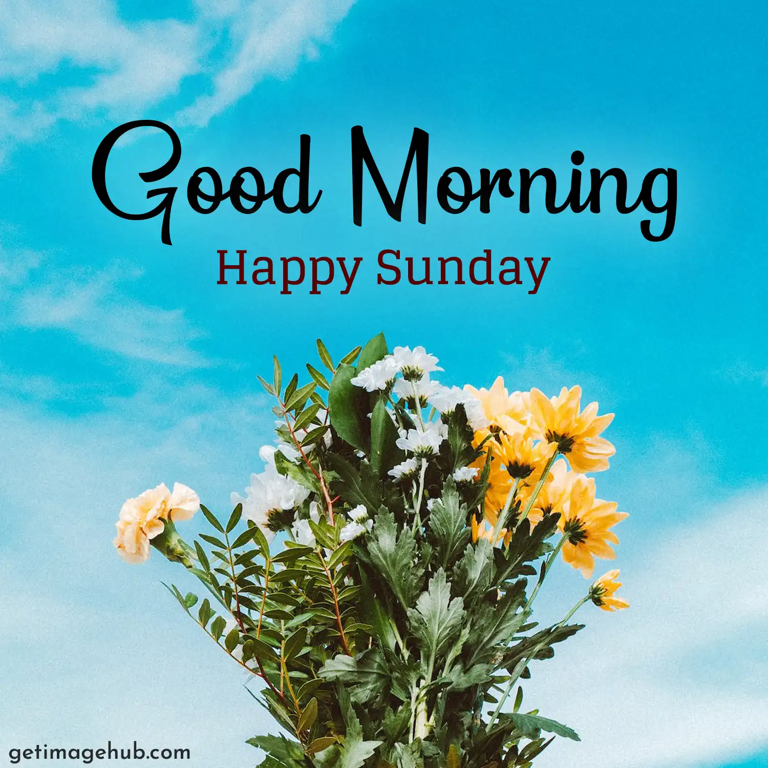 Happy Sunday Good Morning