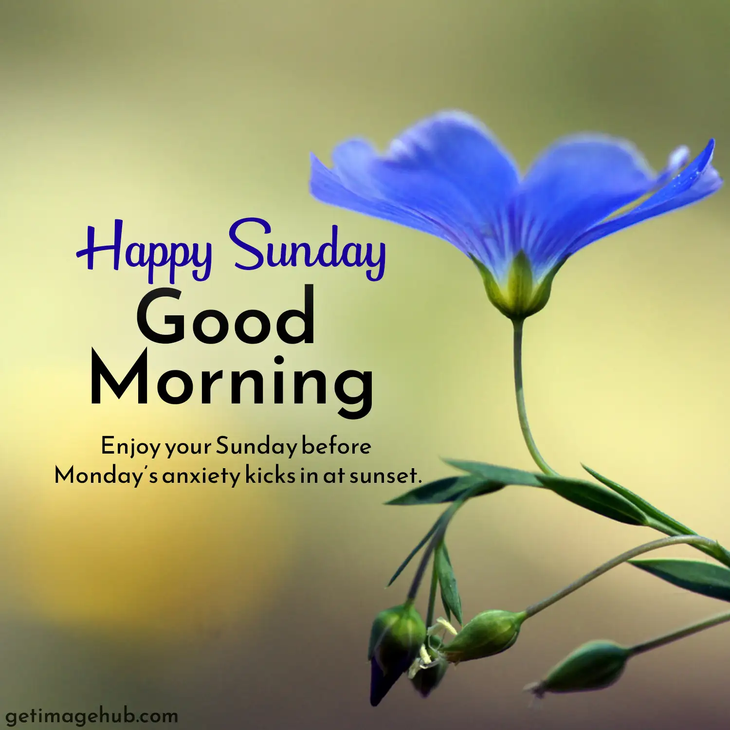 Happy Sunday Images