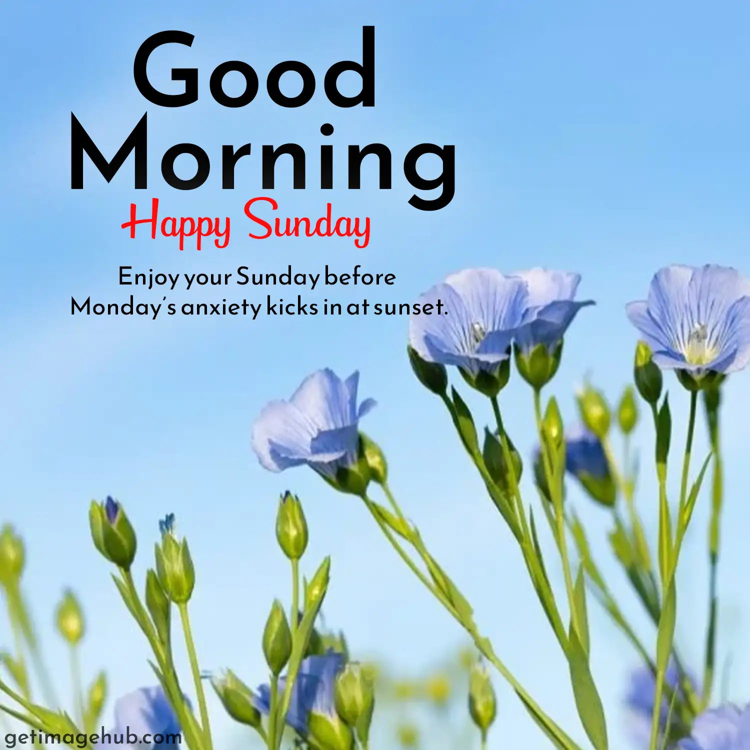 Happy Sunday Images Good Morning