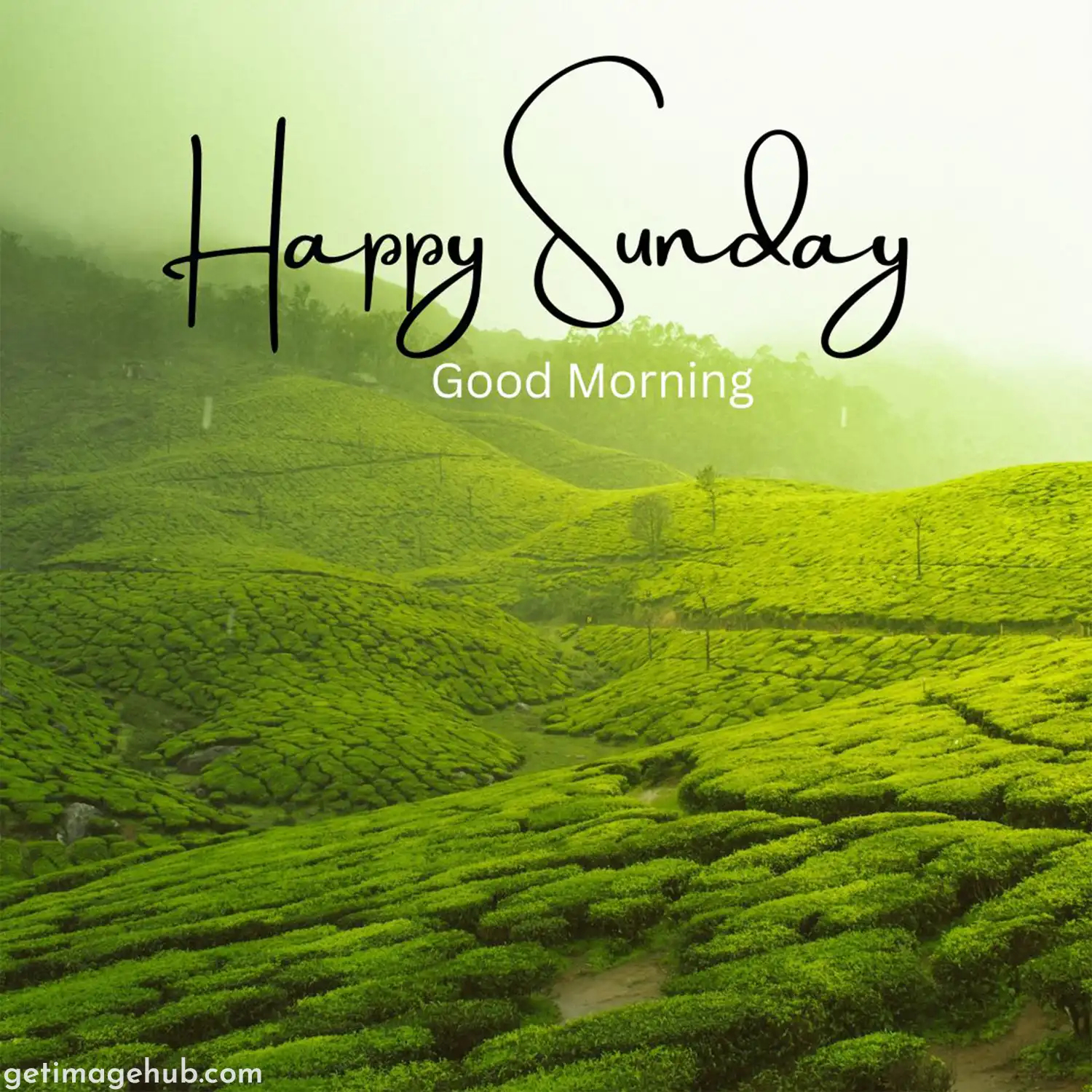 Happy Sunday Photo
