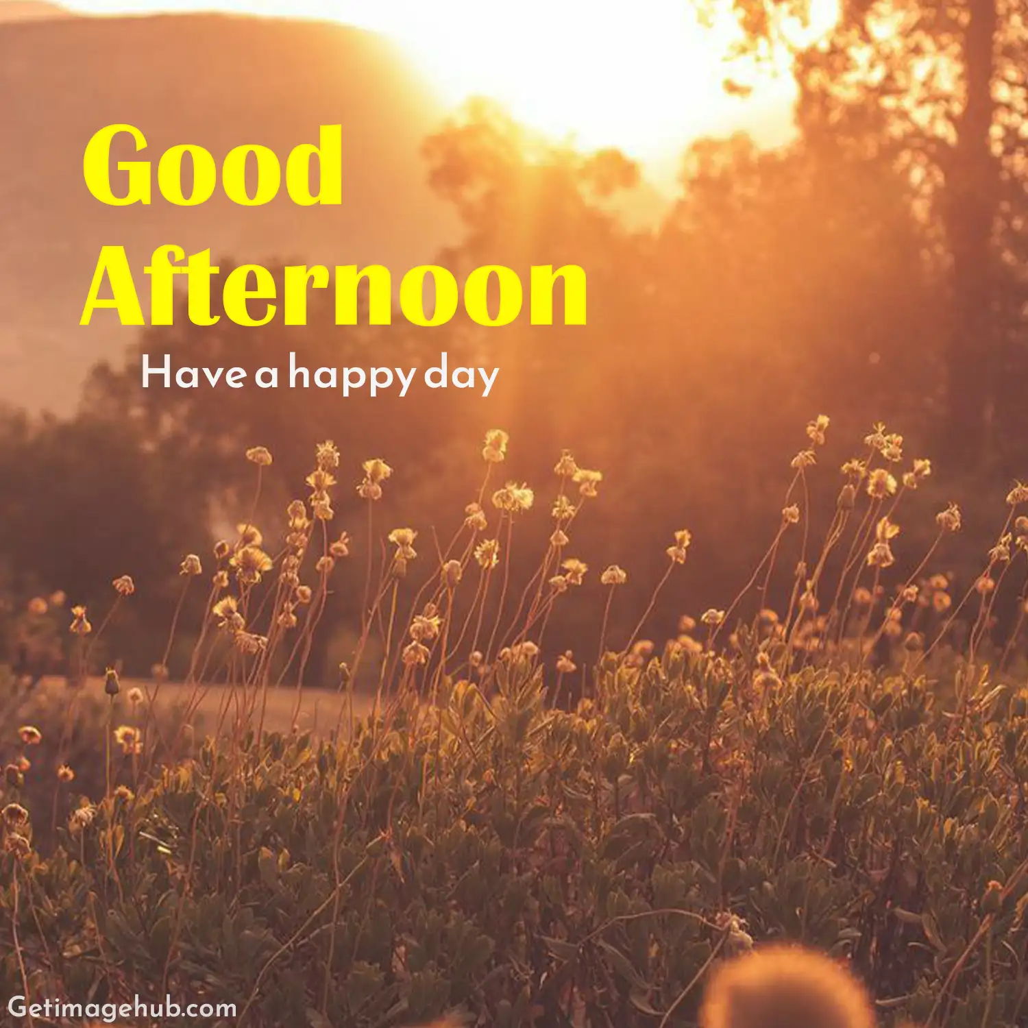 New Good Afternoon Image HD