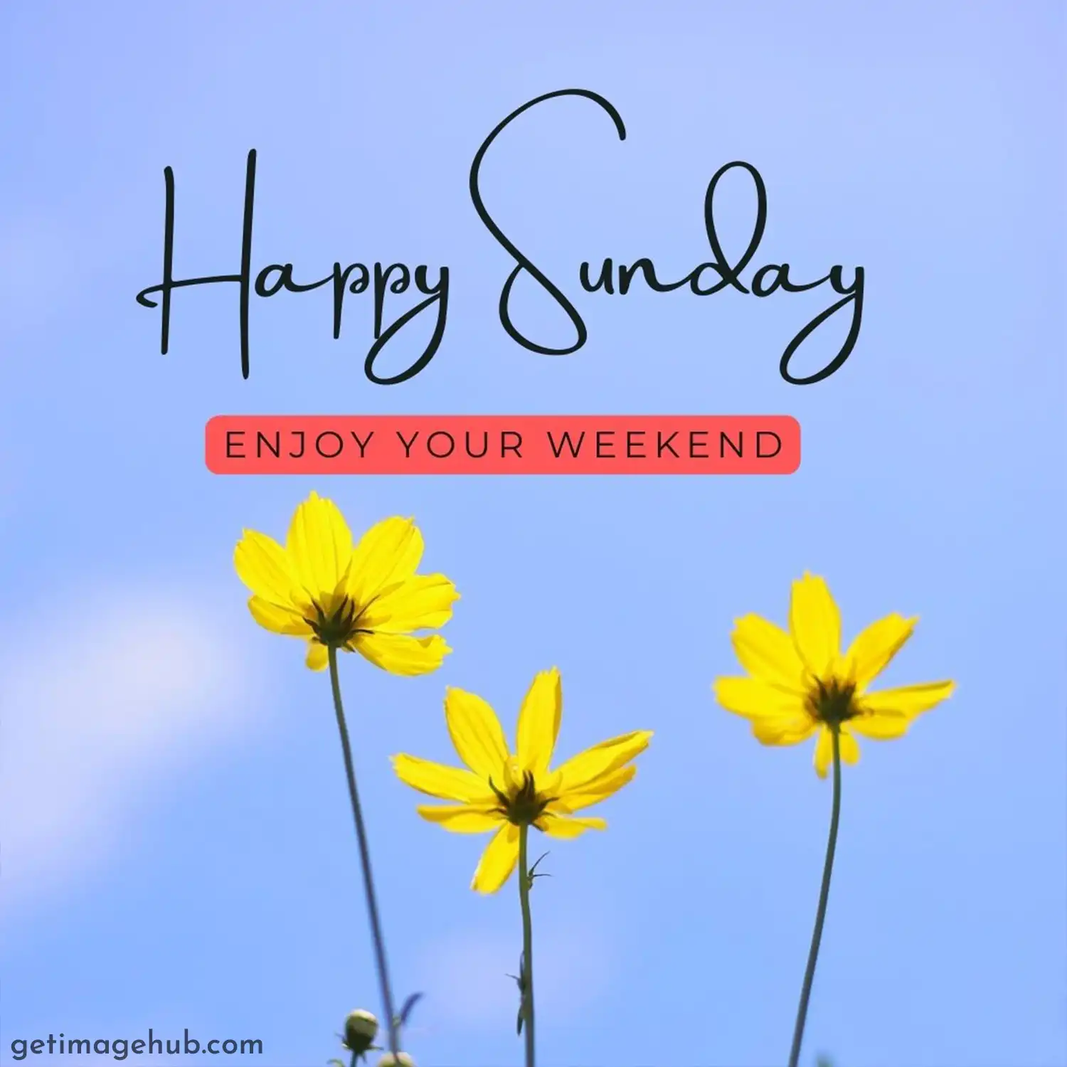 New Happy Sunday Good Morning Image