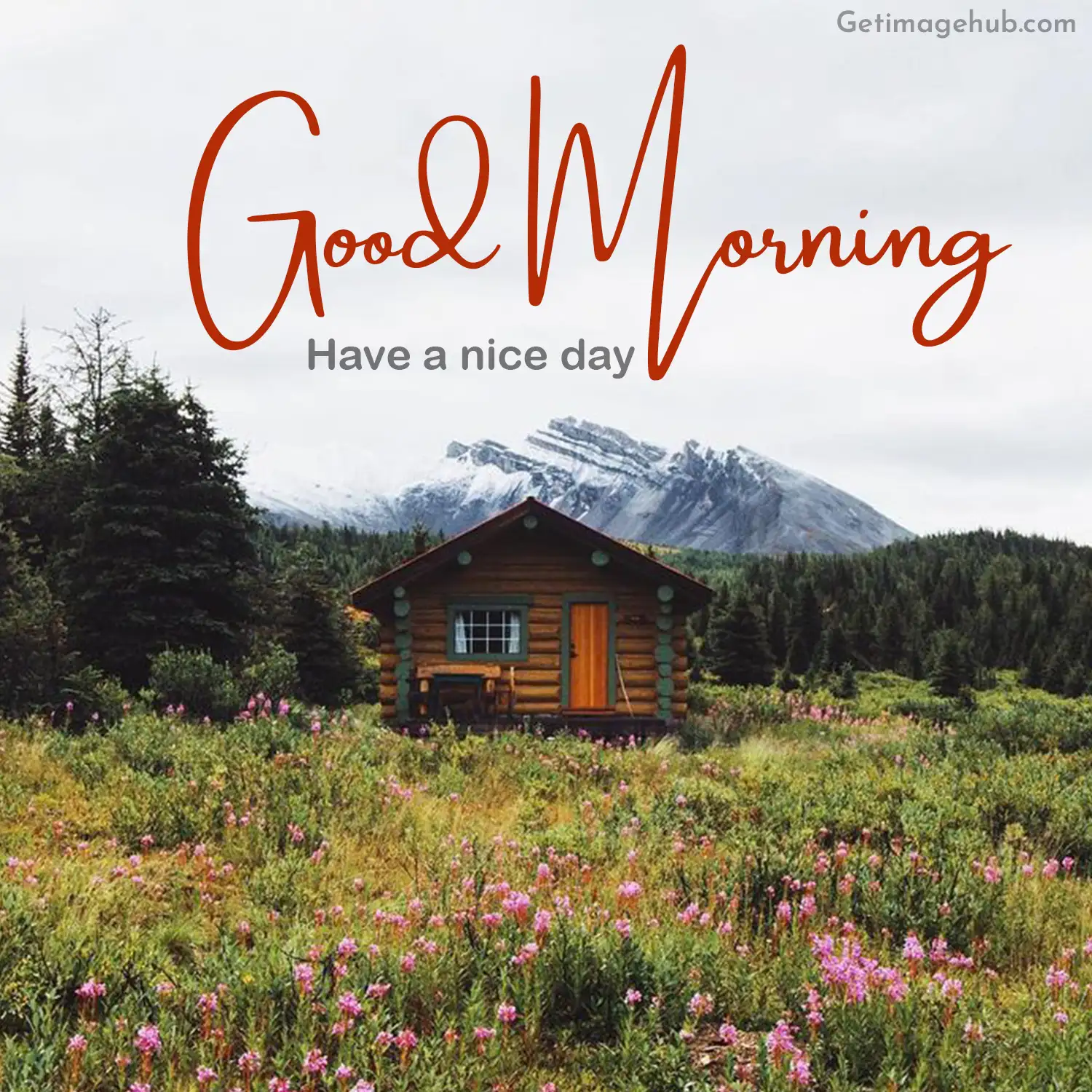 New Village Good Morning Image