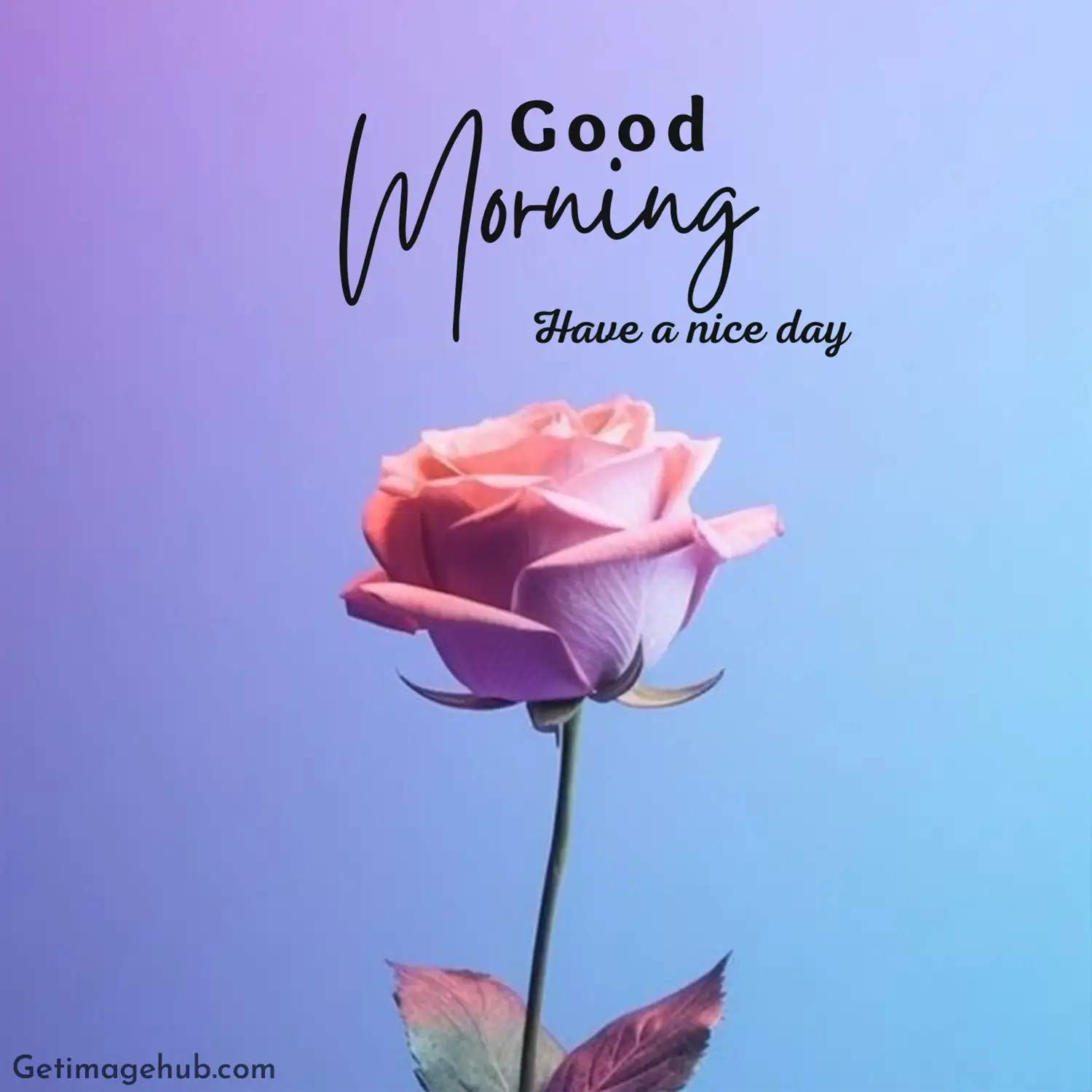 Nice Good Morning Flower Image
