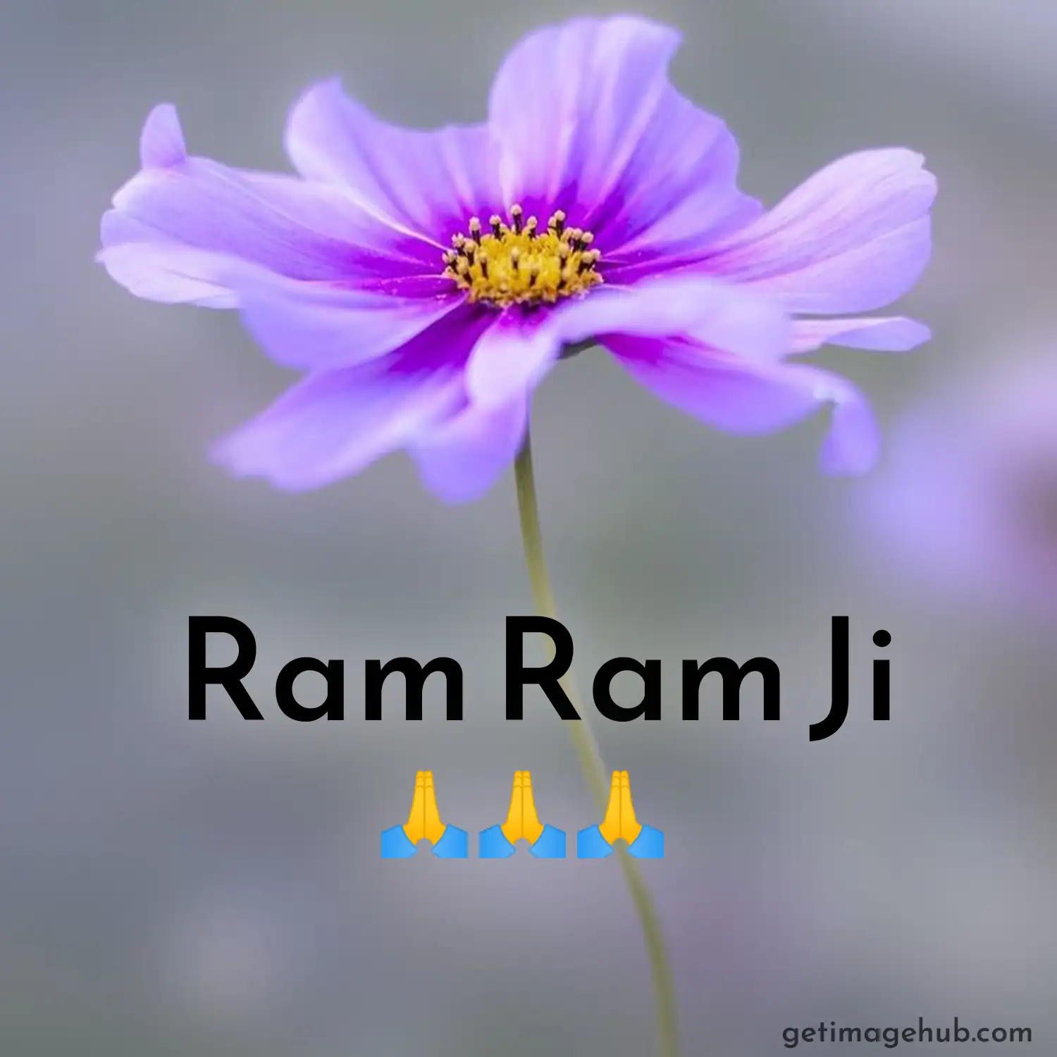 Ram Ram Ji Image
