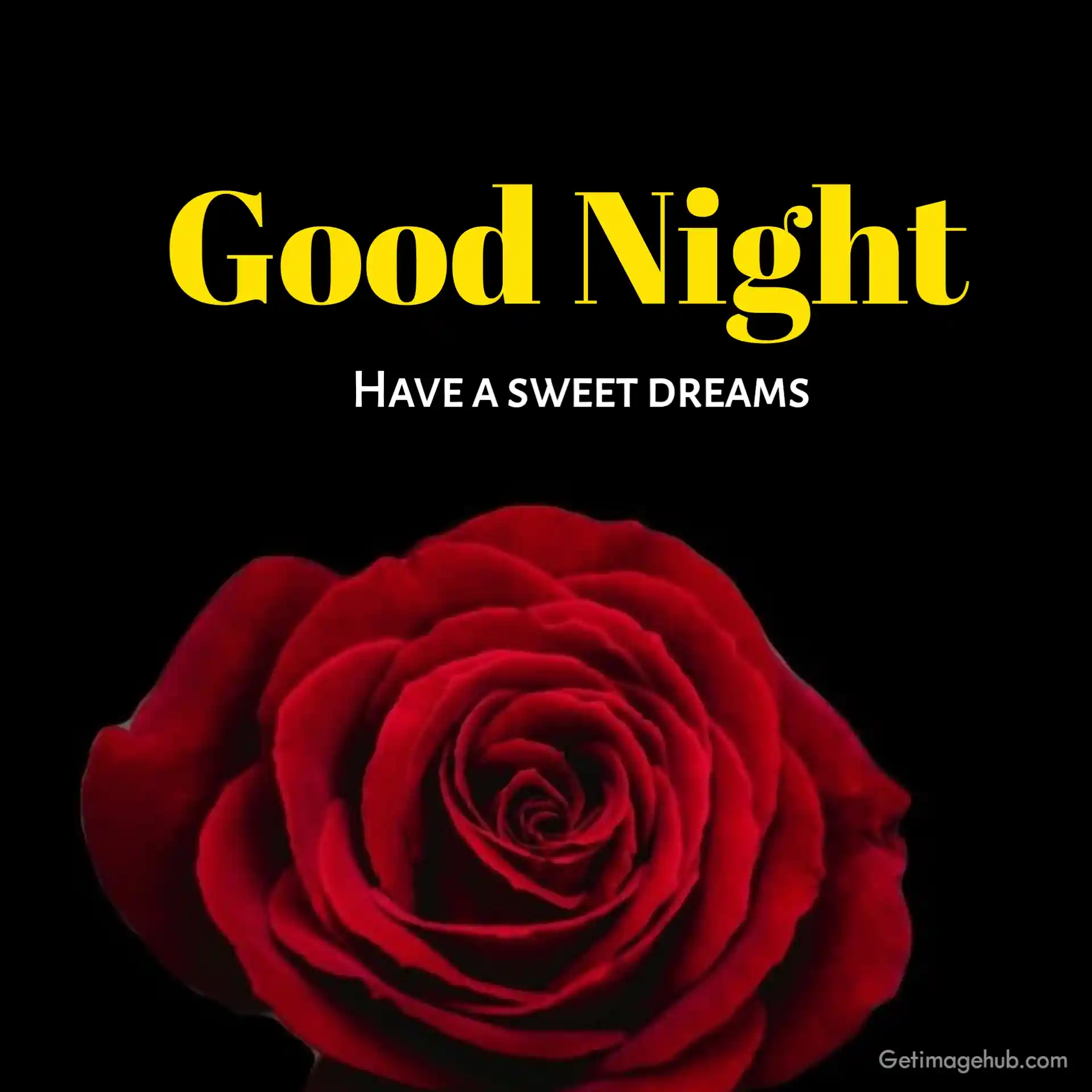 Rose Good Night Images